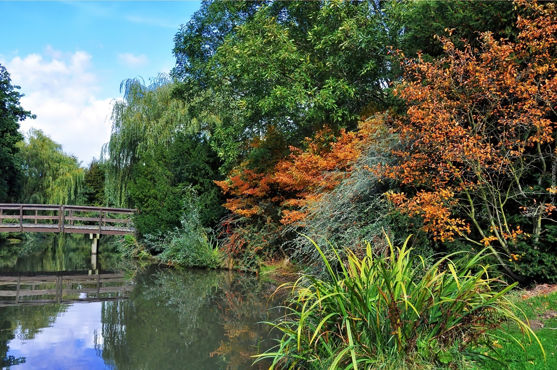 Park, Rzeka, Mostek