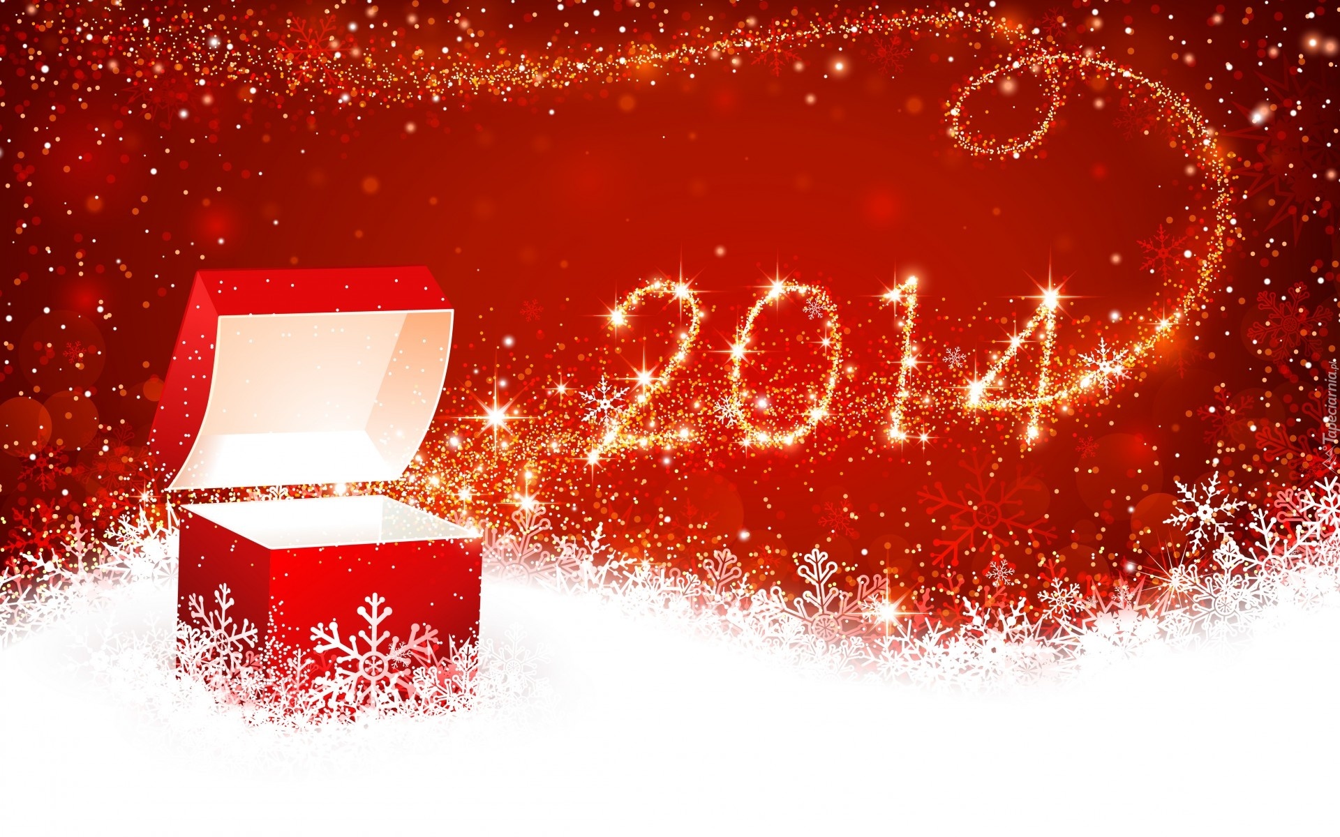 Nowy Rok 2014, Prezent