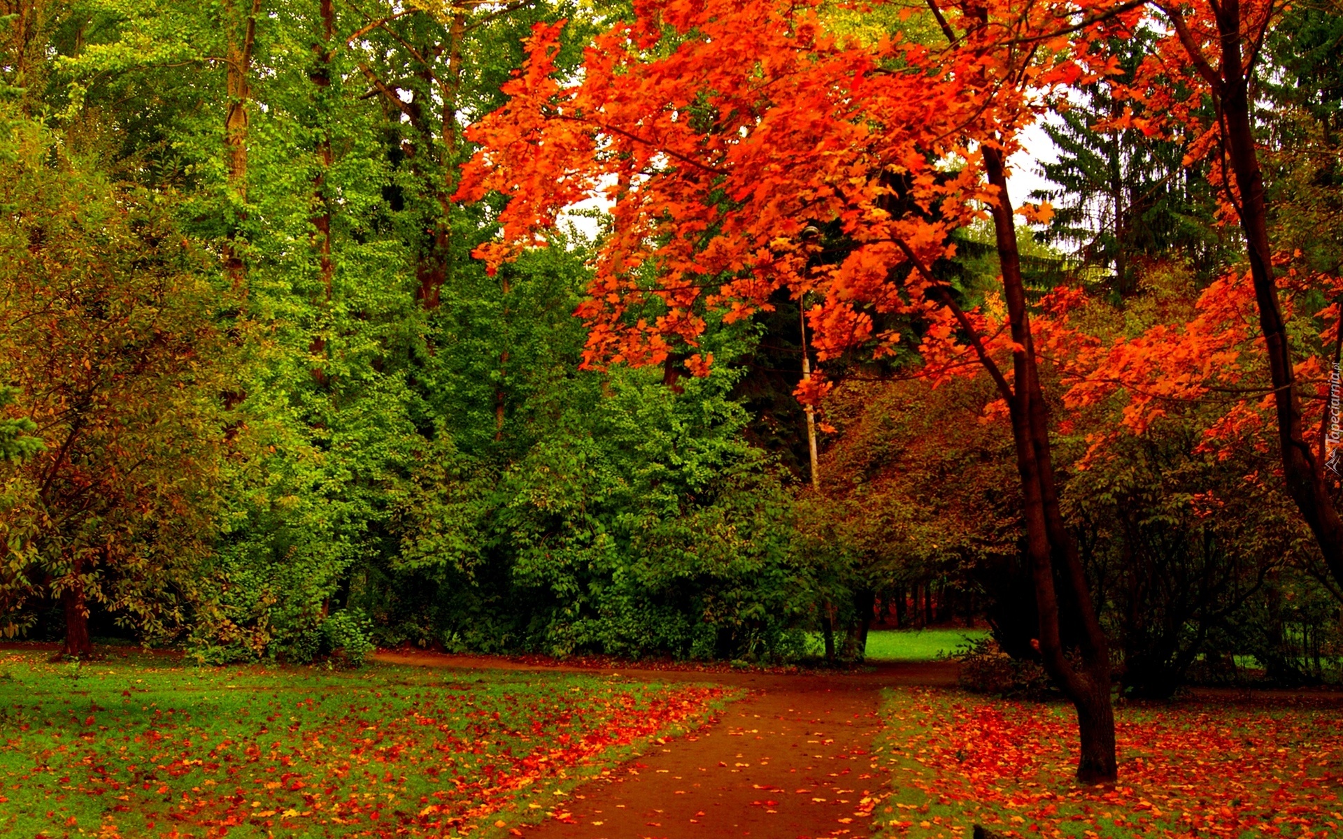 Jesień, Park, Ścieżka