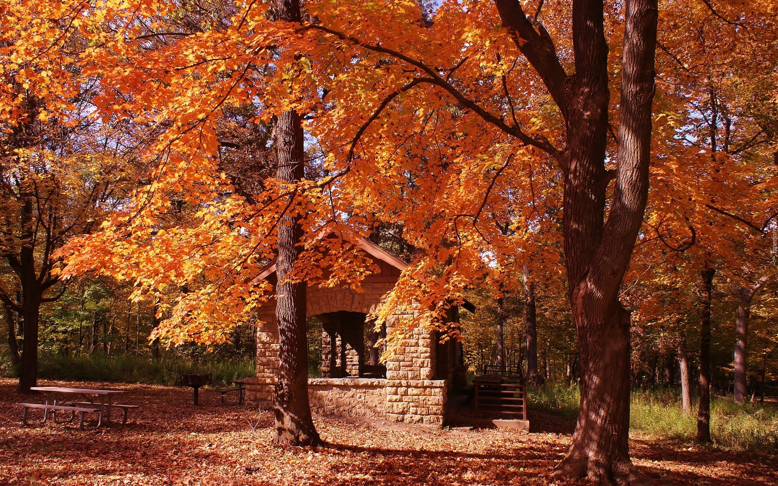 Park, Domek, Ławki, Liście, Jesień