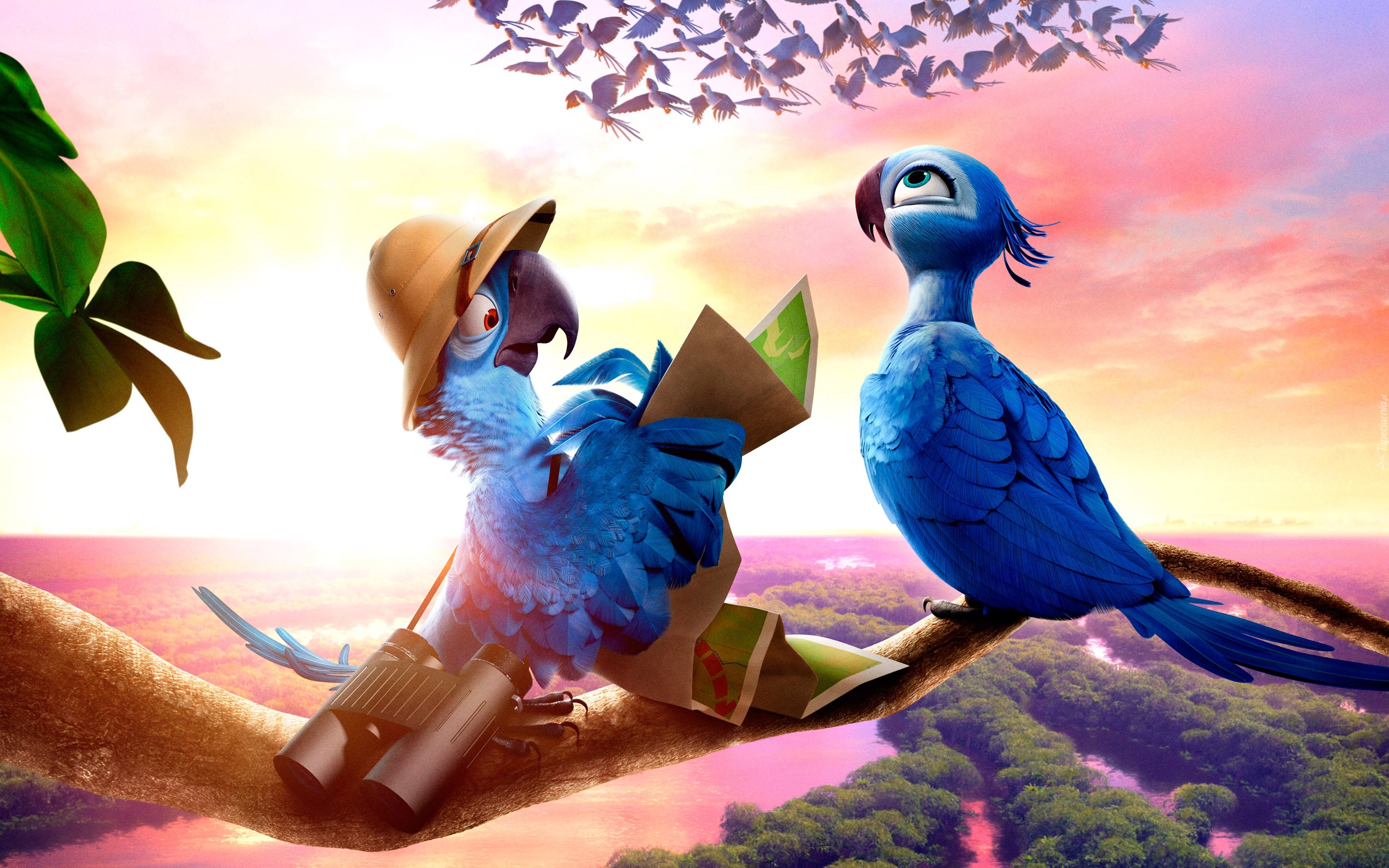 Film, Animowany, Rio 2, Papugi