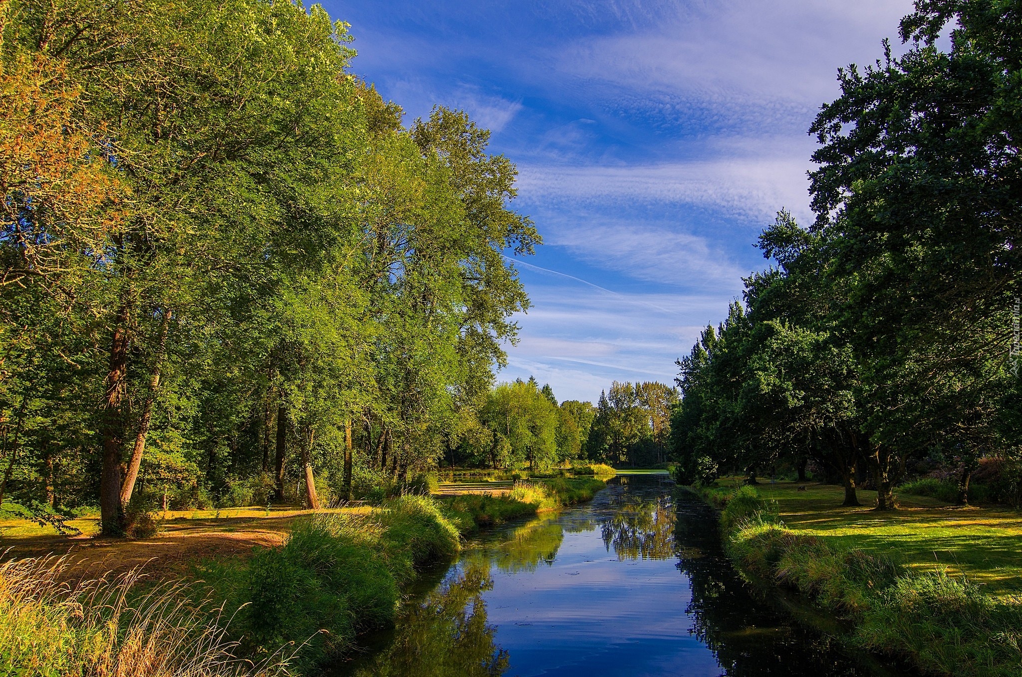 Lato, Park, Rzeka, Zieleń