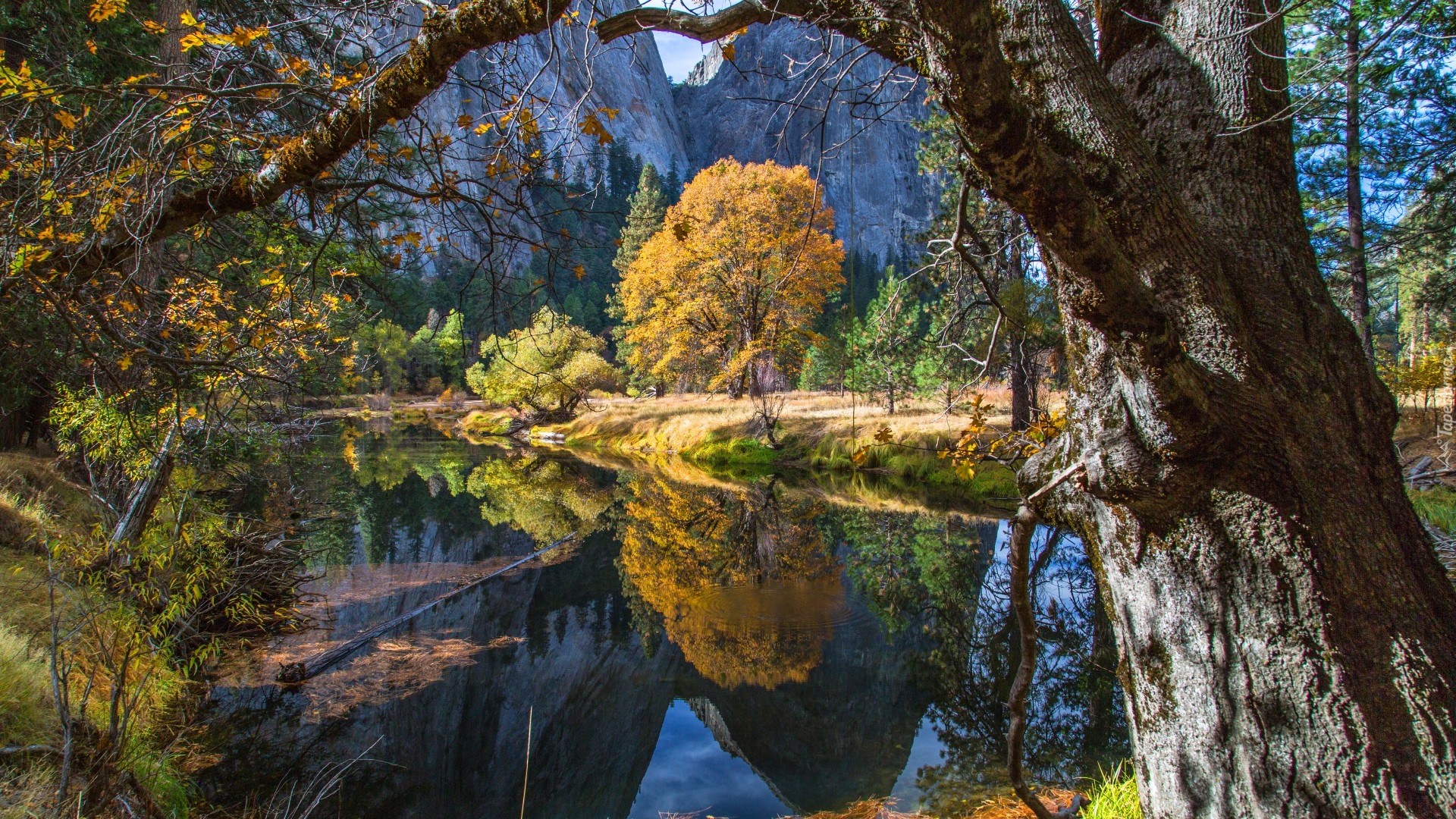 Stany Zjednoczone, Stan Kalifornia, Park Narodowy Yosemite, Góry, Rzeka, Jesień, Drzewa
