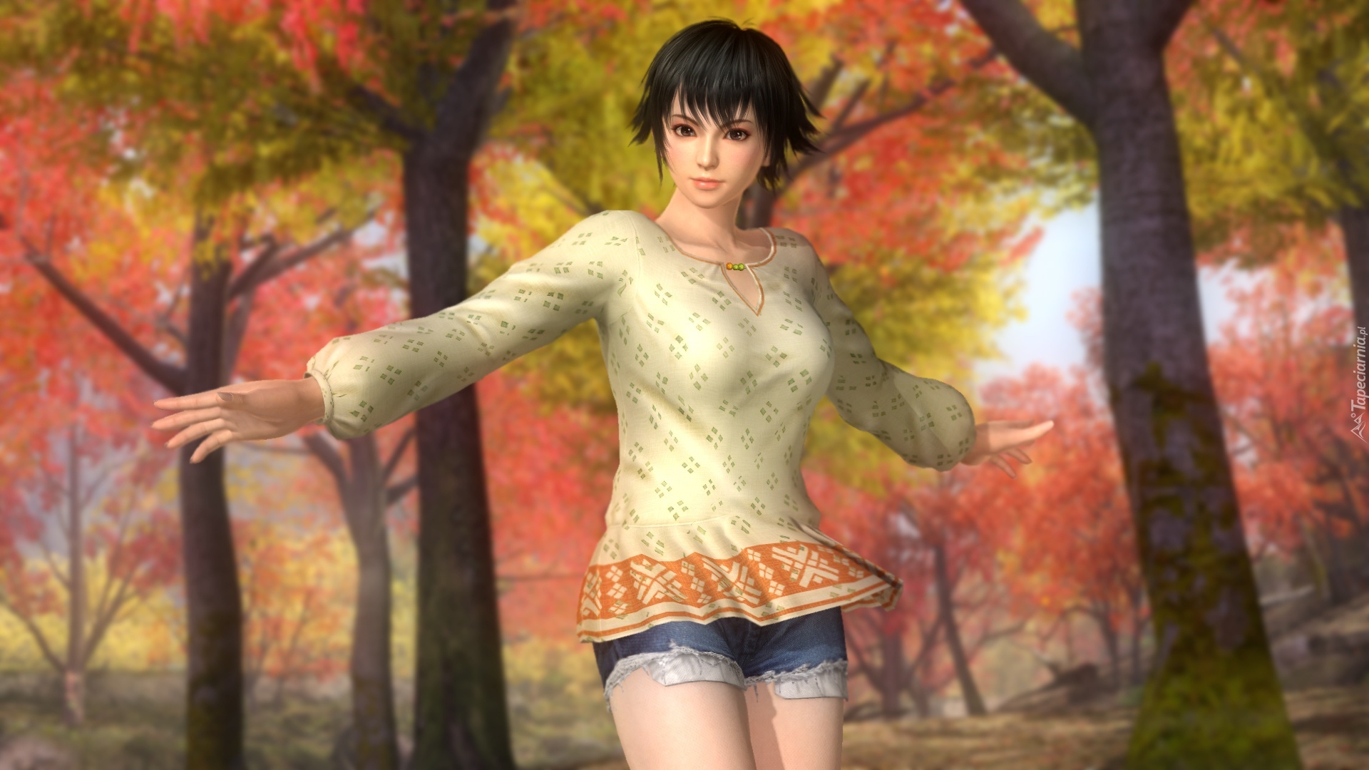 Dead Or Alive 5 Ultimate, Pai