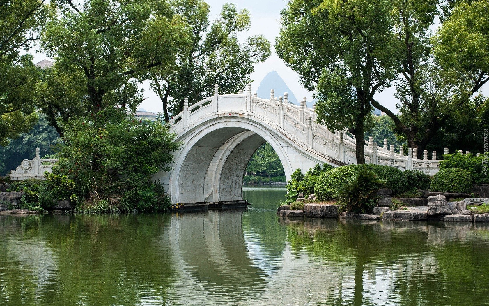 Ogród, Park, Biały, Mostek