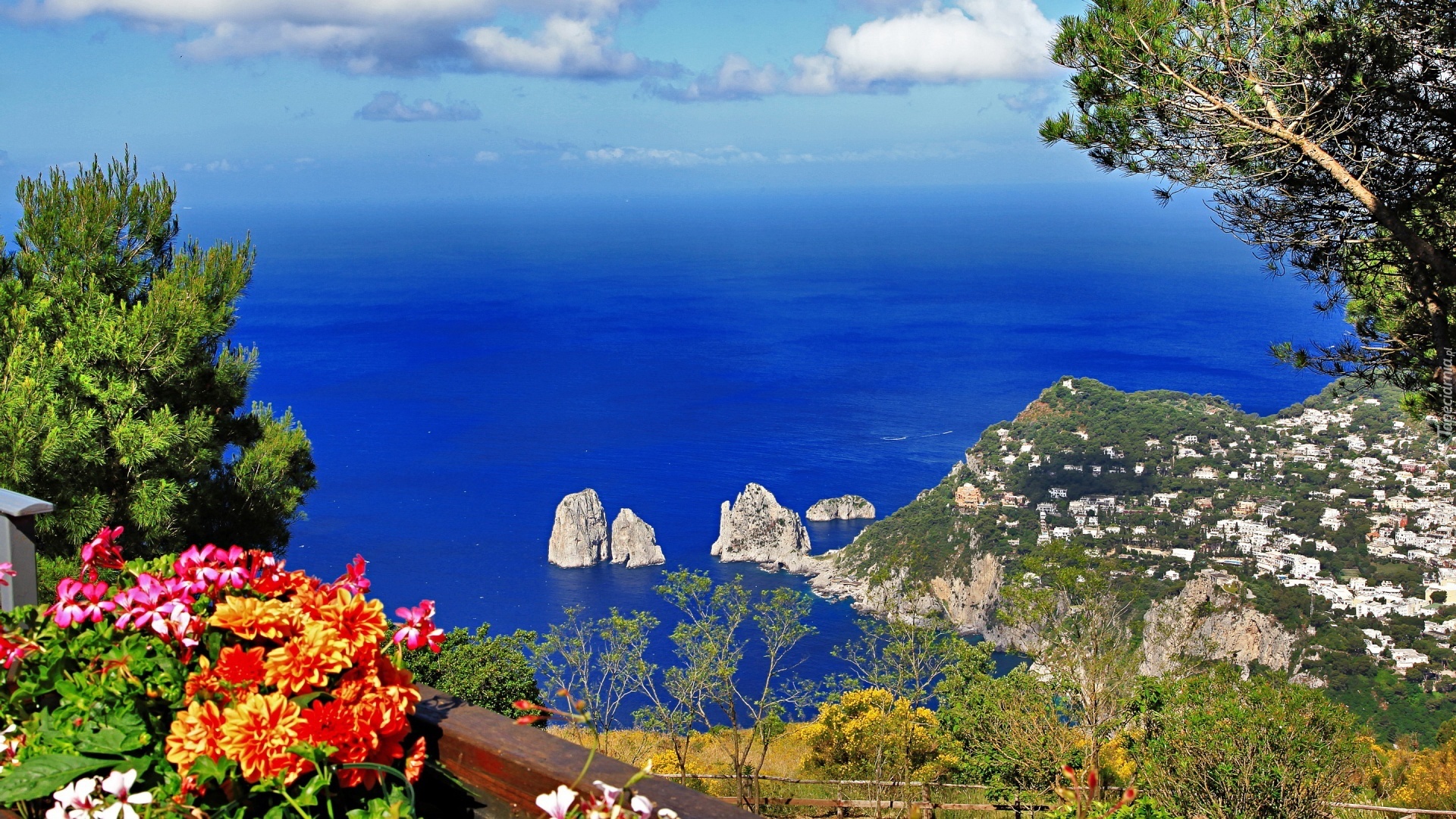 Morze, Skały, Kwiatki, Capri