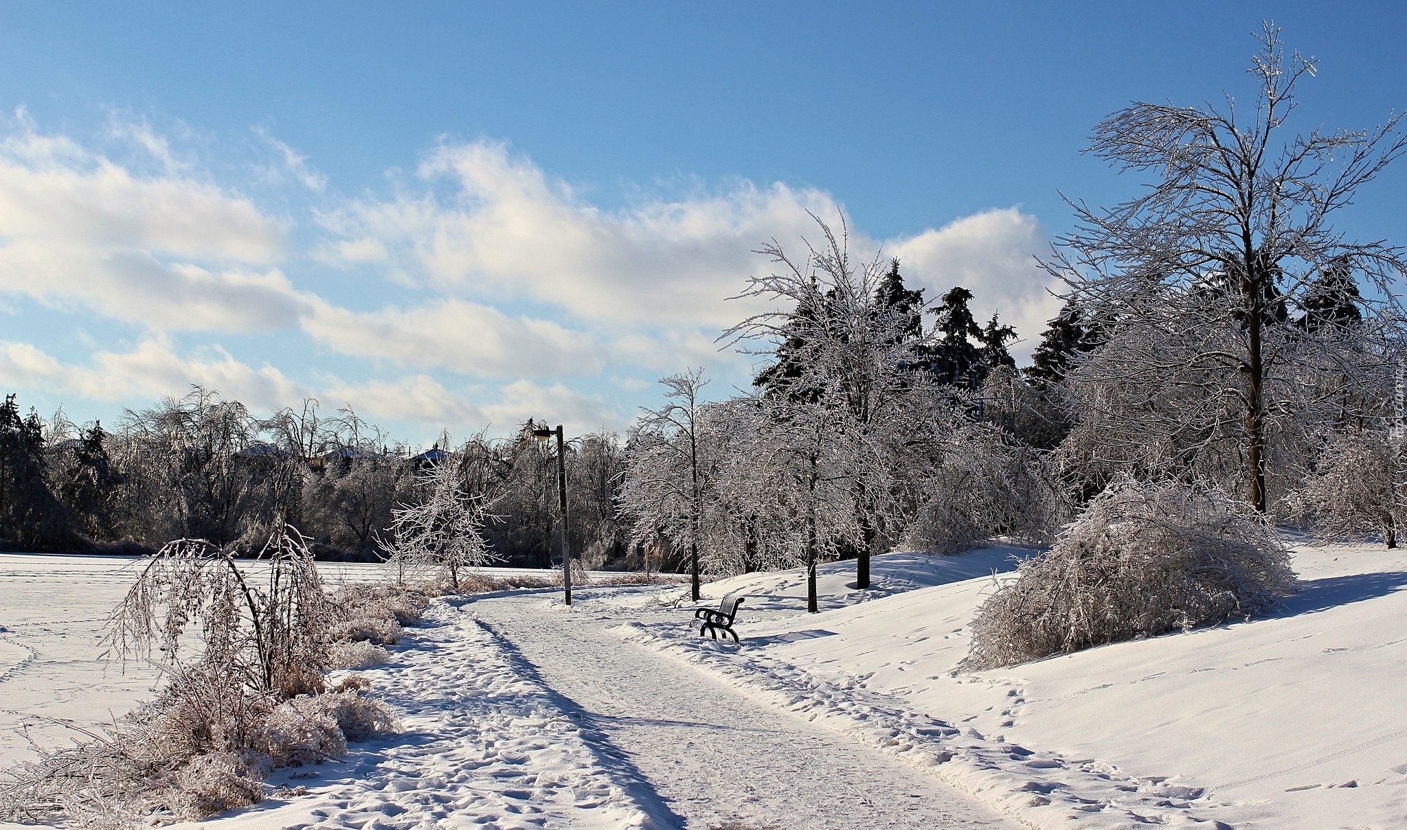 Zima, Park, Ławeczka