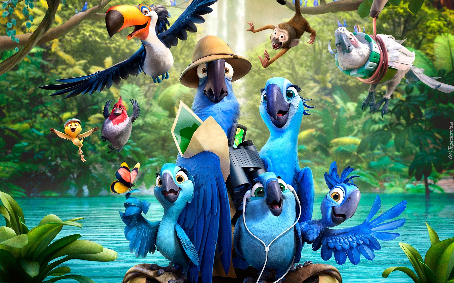 Rio2, Ptaki, Rośliny, Woda