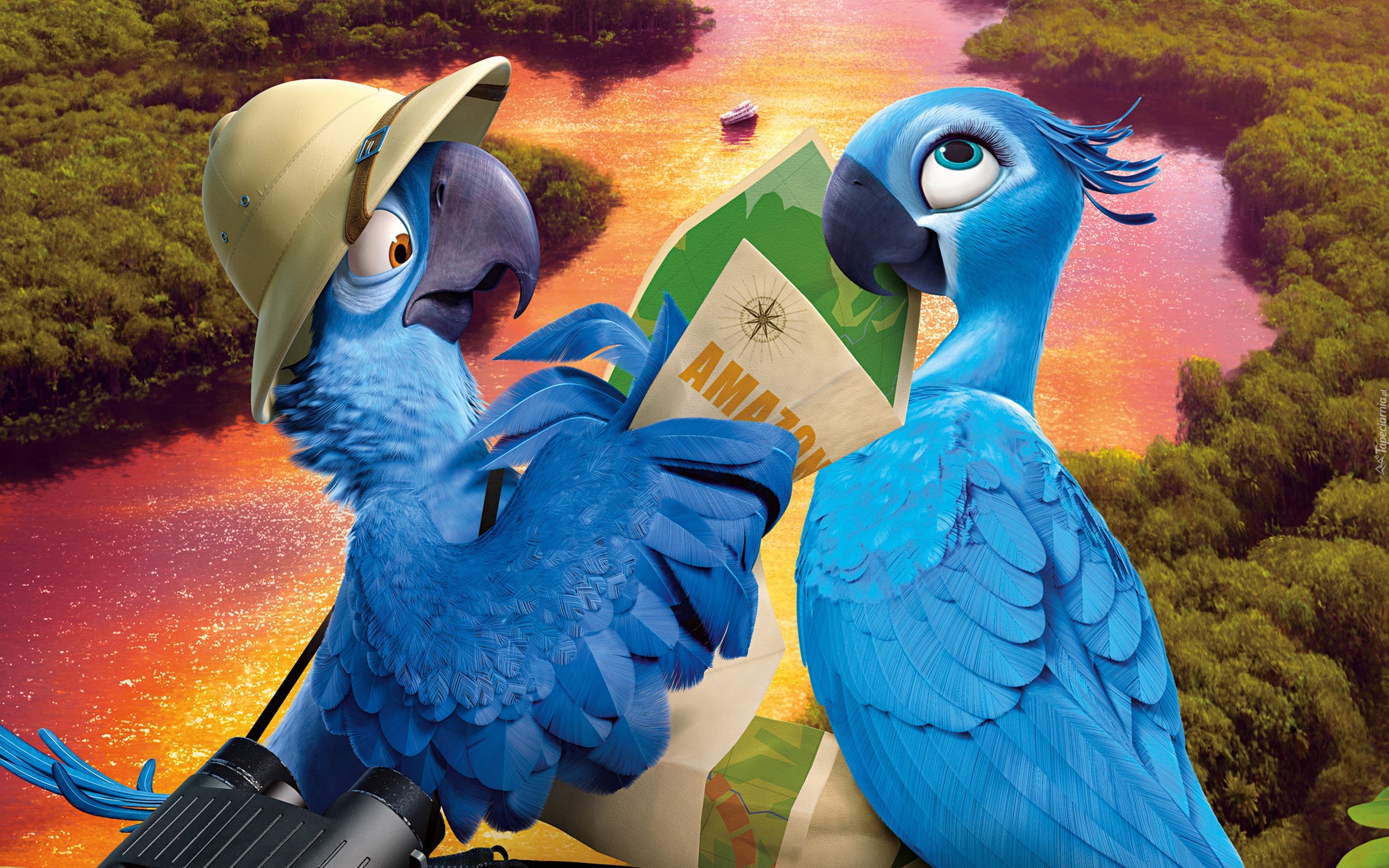 Rio2, Papużki, Rzeczka, Kapelusz