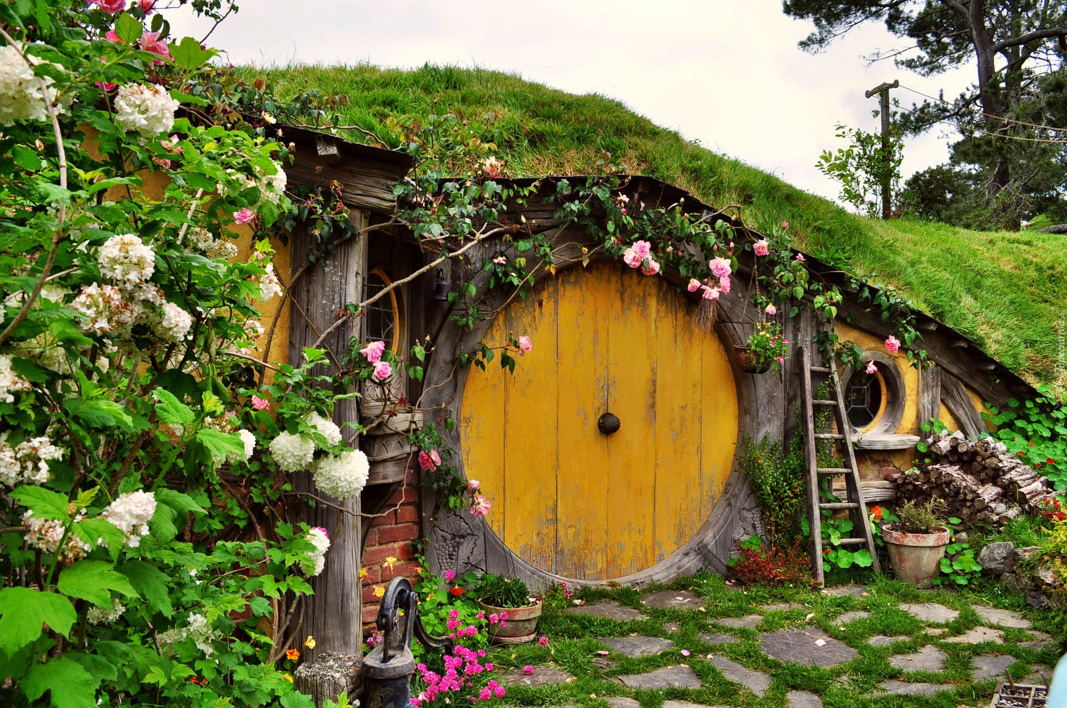 Domek Hobbit, Nowa Zelandia