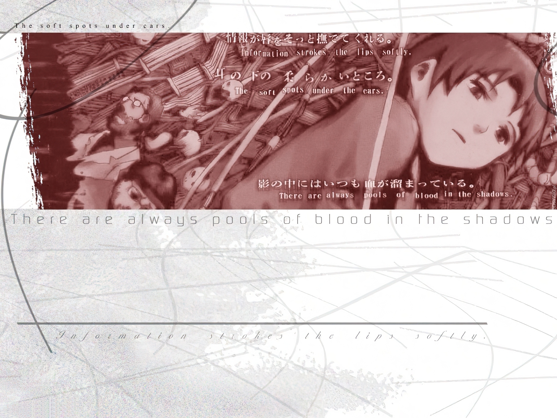 Serial Experiments Lain, ludzie, tekst