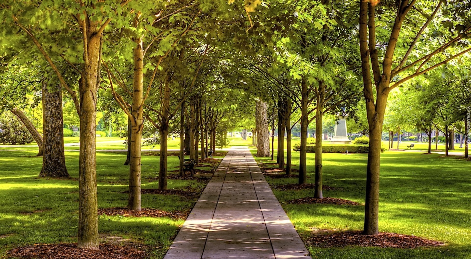 Park, Chodnik