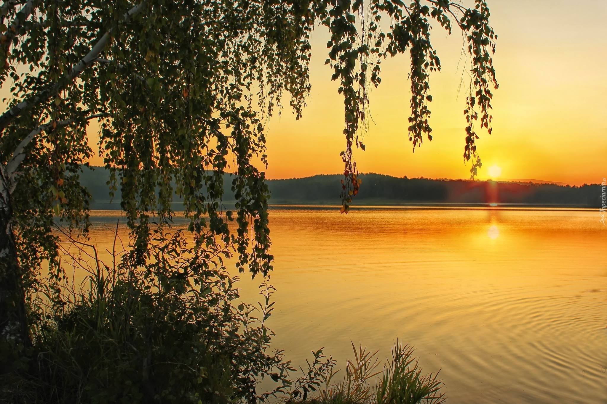 Jezioro, Brzoza, Lasy, Góry, Wscchód, Słońca