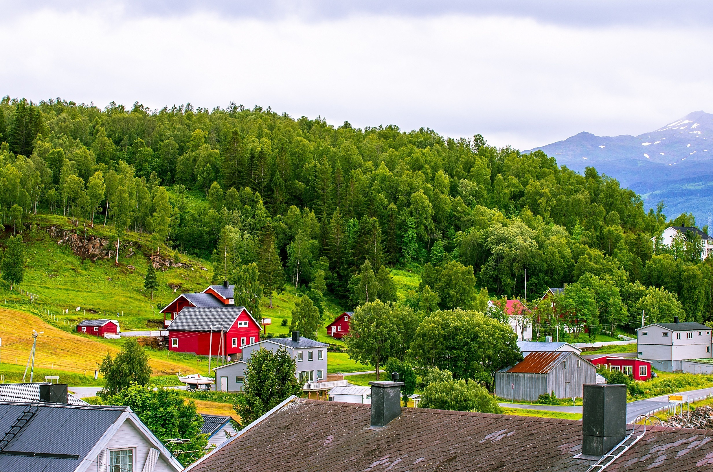 Góry, Lasy, Domy, Północna Norwegia