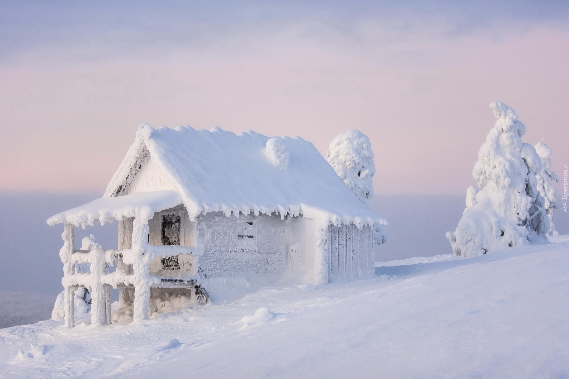 Ośnieżony, Domek, Drzewa, Śnieg
