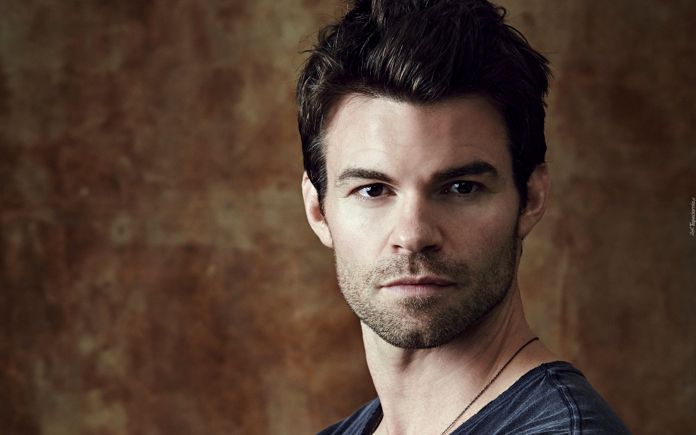 Daniel Gillies, Zarost