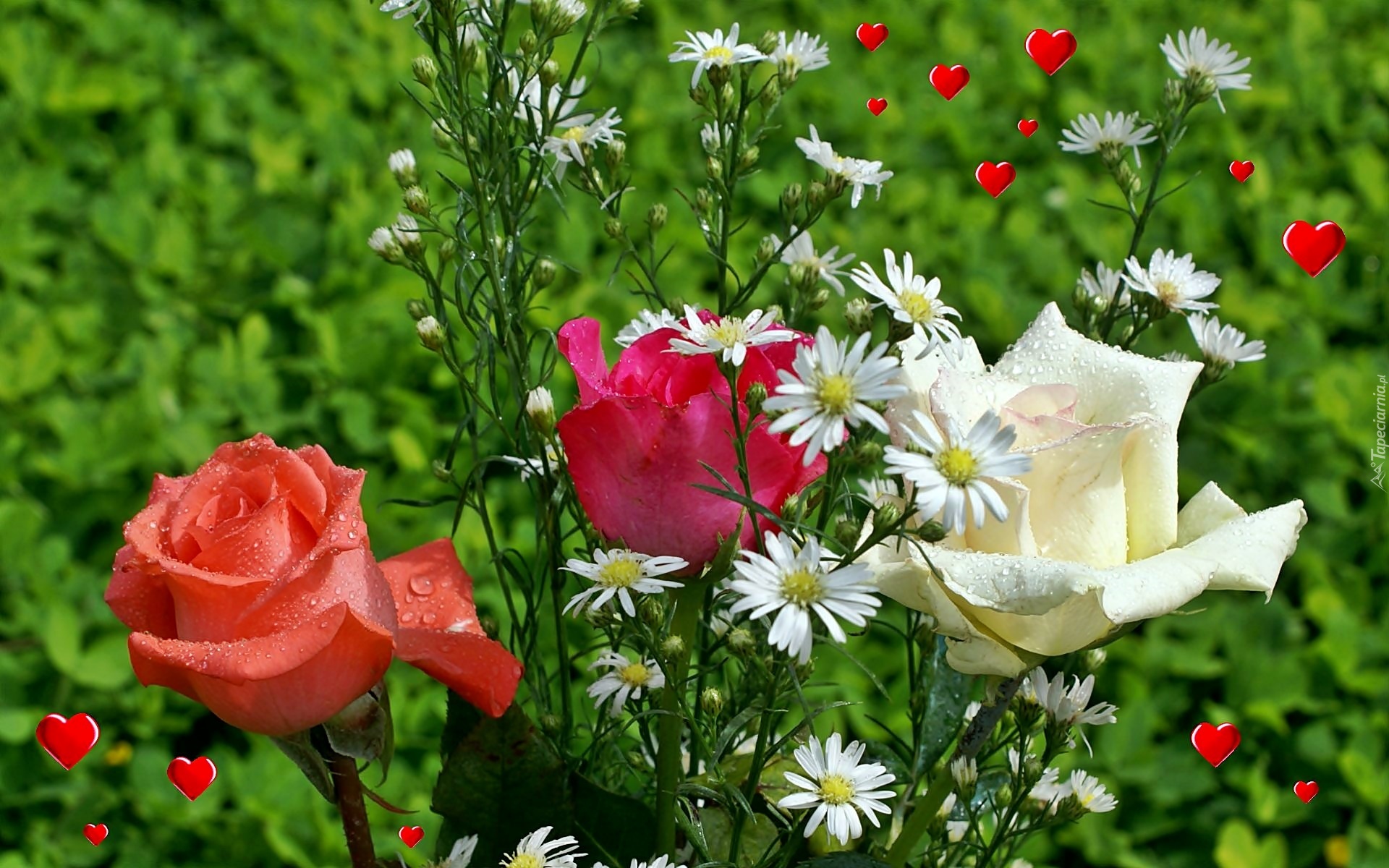 Kwiaty, Serduszka, Rozmycie