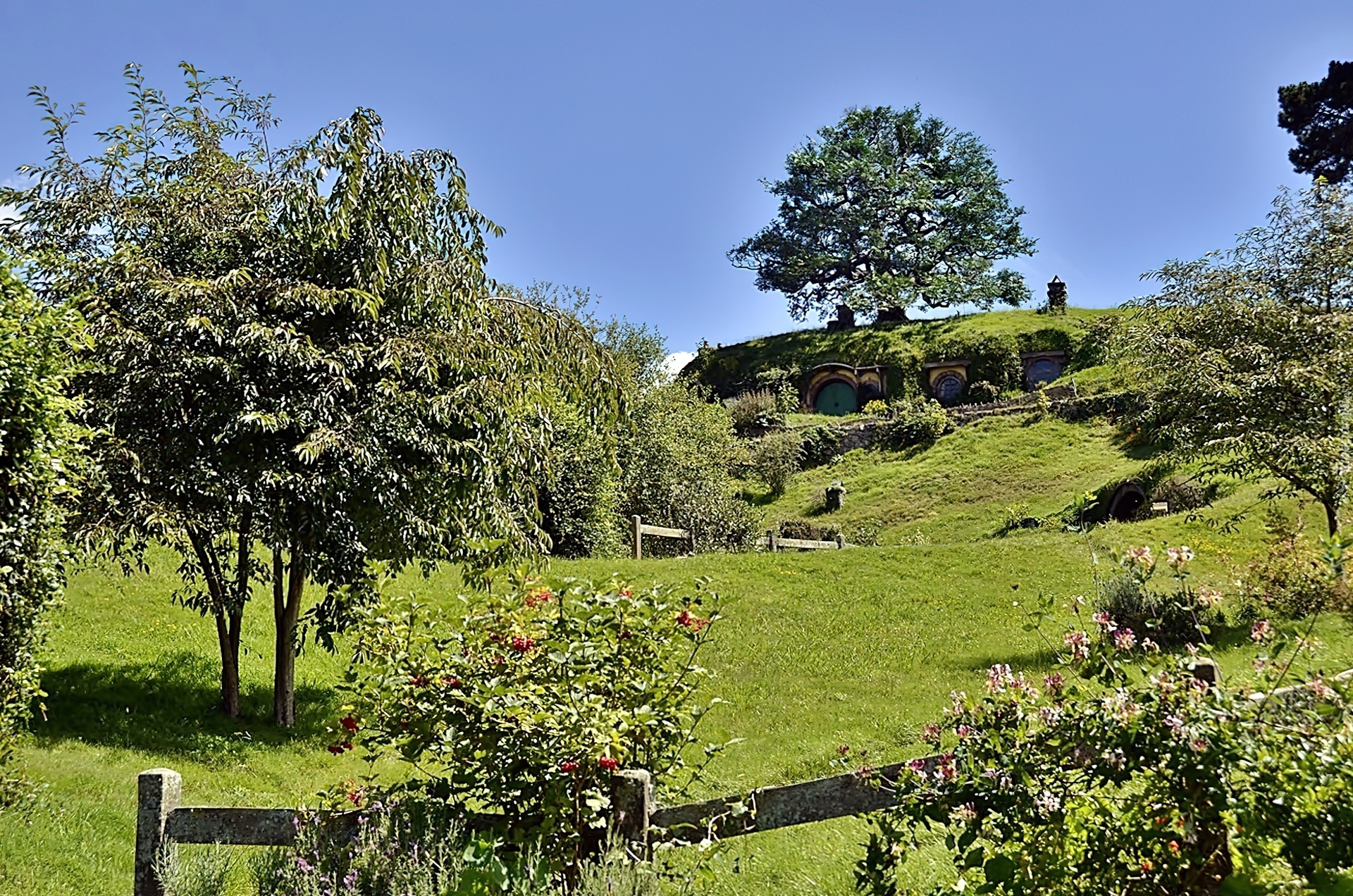 Domek, Hobbita, Łąka, Ogródek