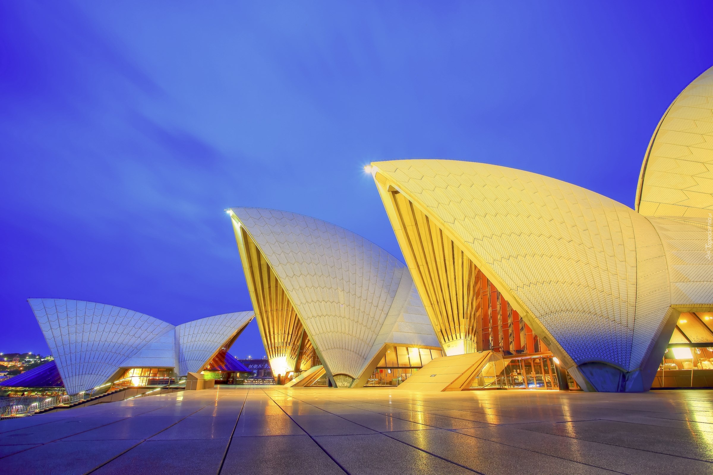 Australia, Sydney, Oświetlona, Sydney Opera House