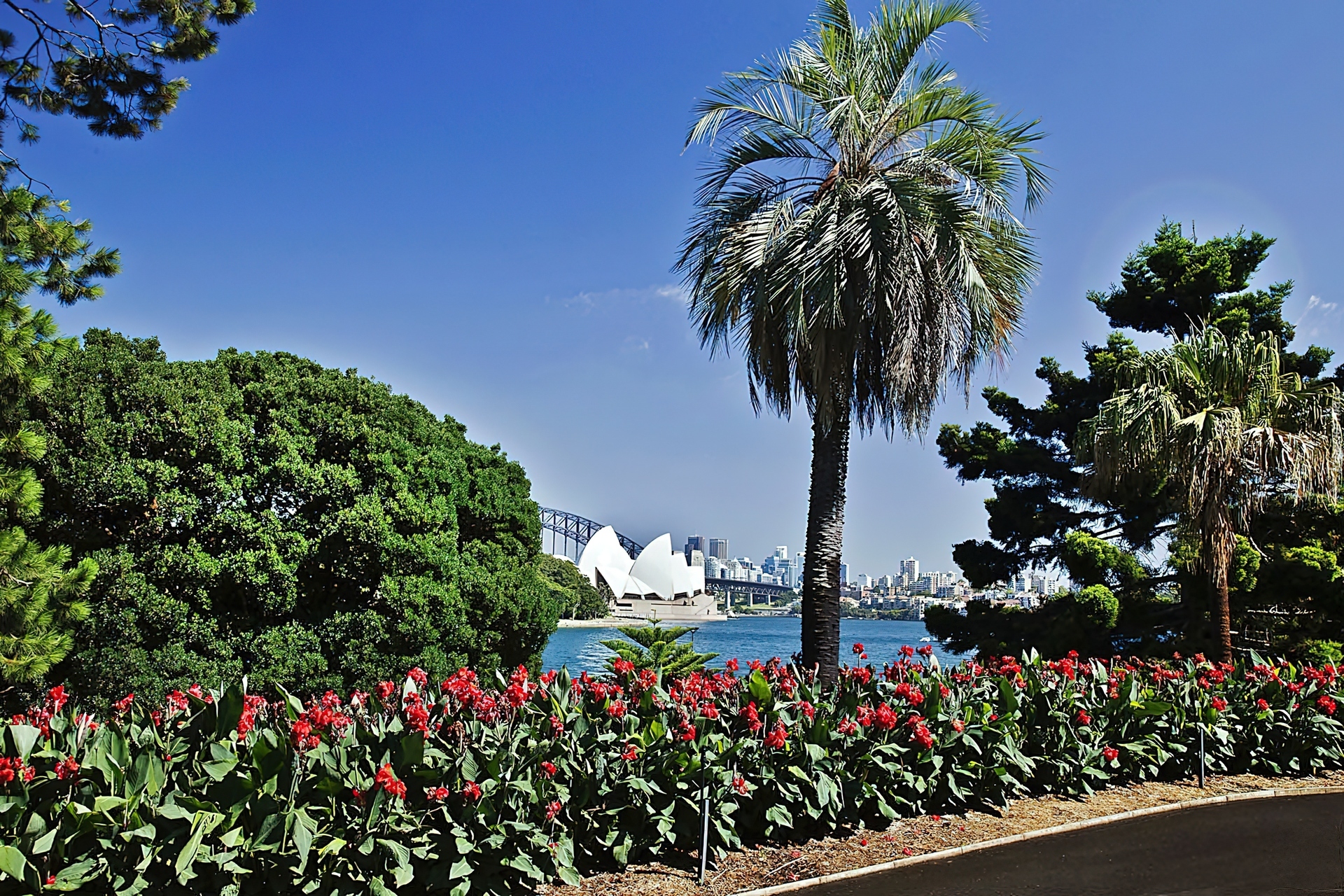 Park, Panorama, Sydney