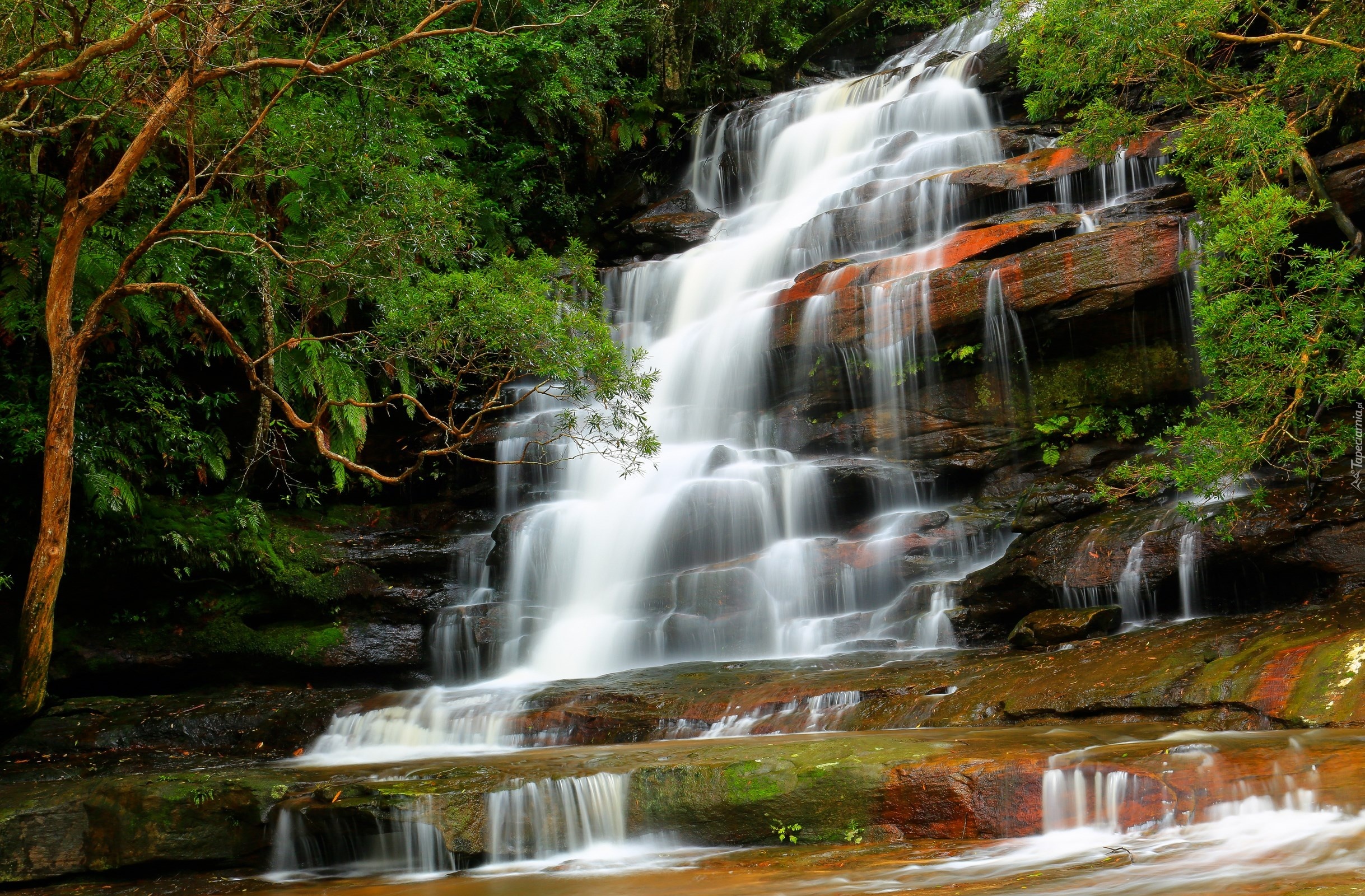 Brisbane Water National Park, Nowa Południowa Walia