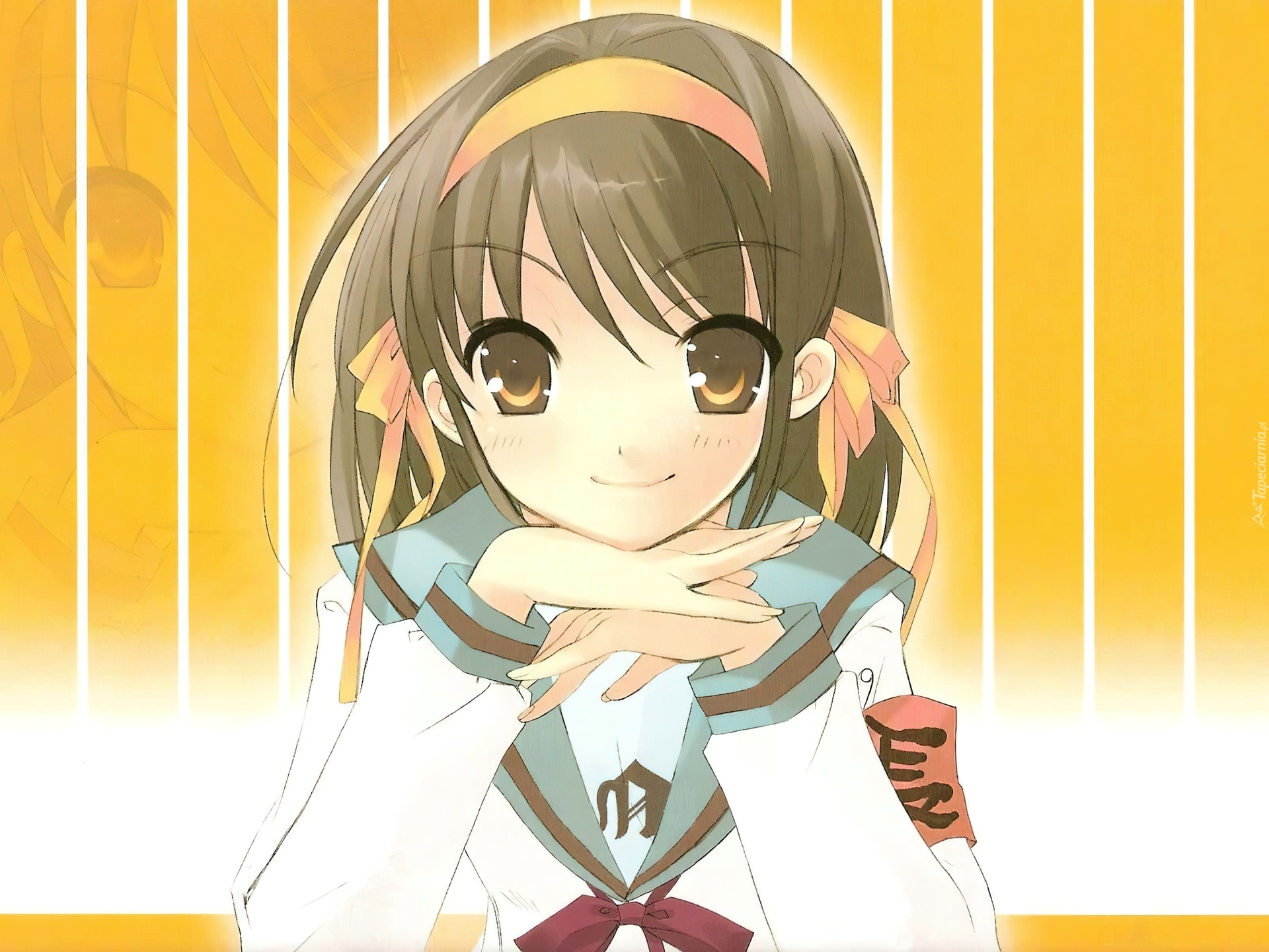 Suzumiya Haruhi No Yuuutsu, kokardki