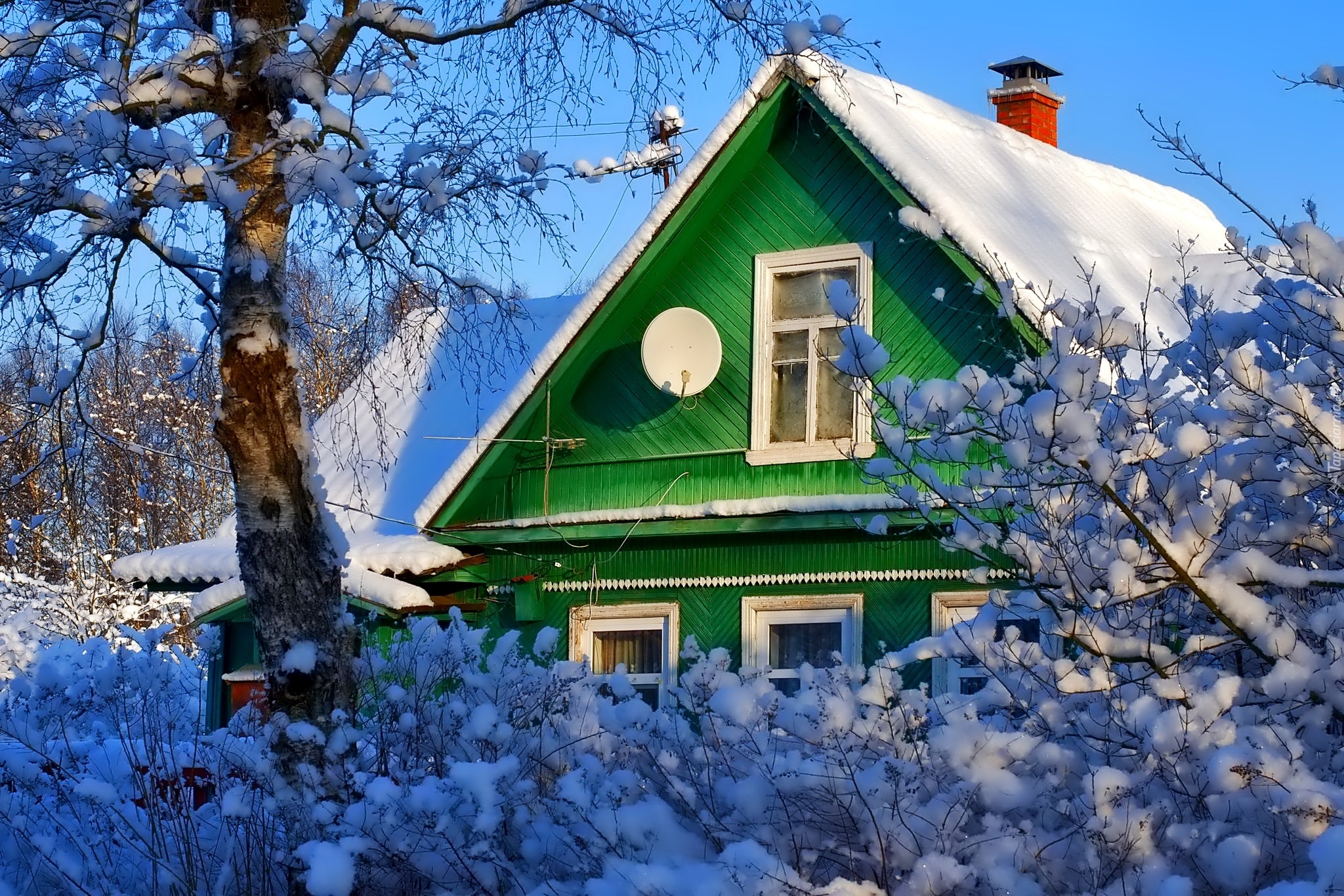 Zima, Zielony, Domek, Ośnieżone, Krzewy