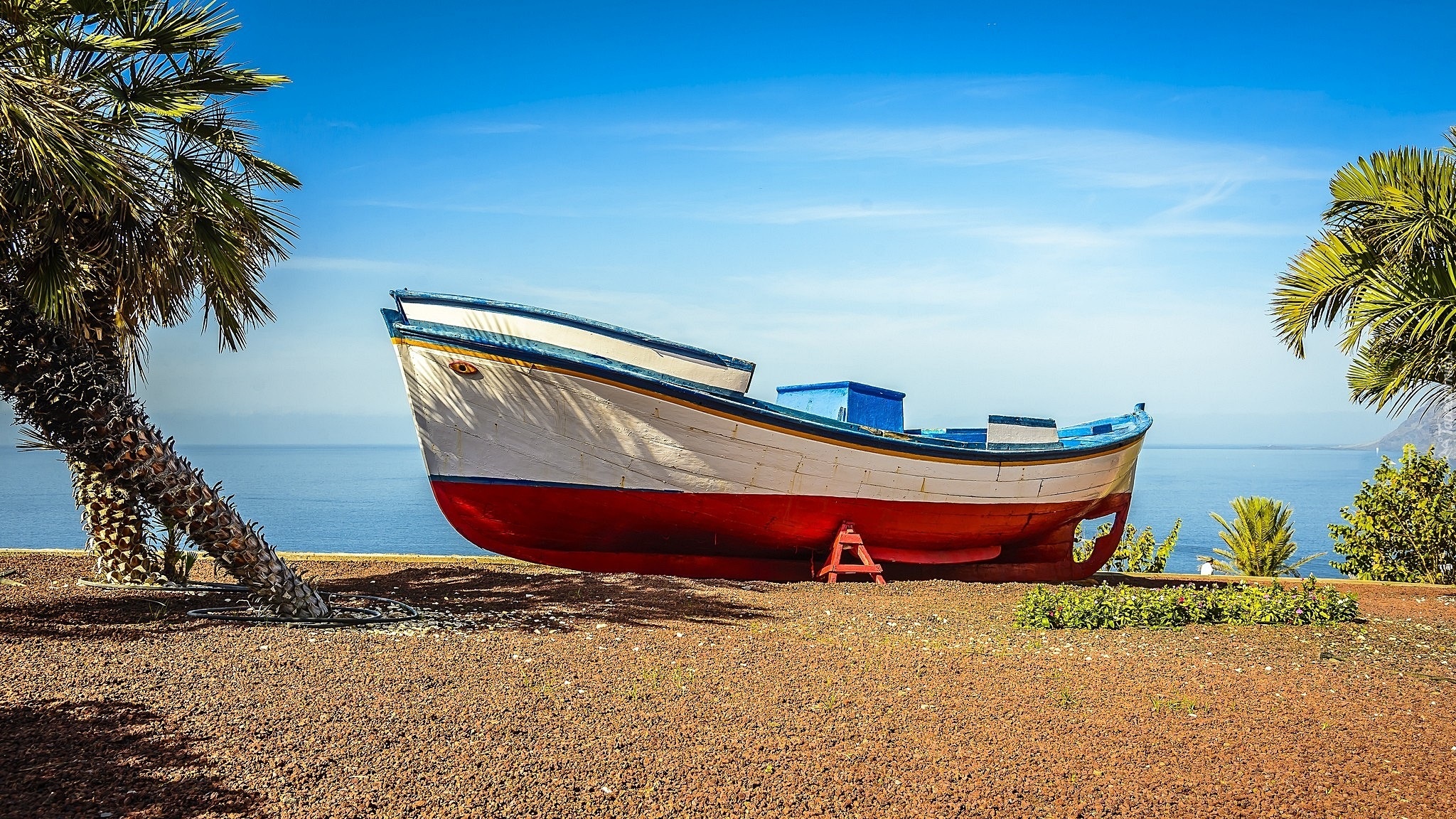 Morze, Plaża, Palmy, Łódz