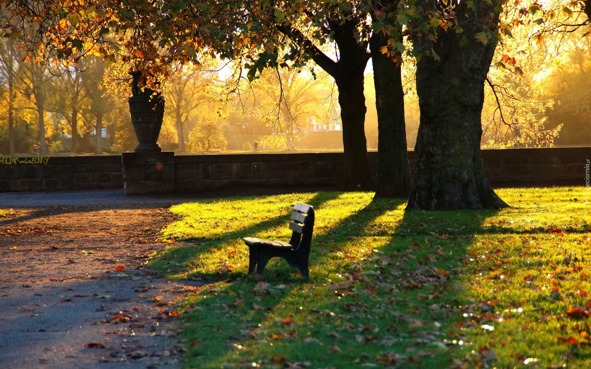 Park, Ławka, Alejki, Liście, Przebijające, Światło, Jesień