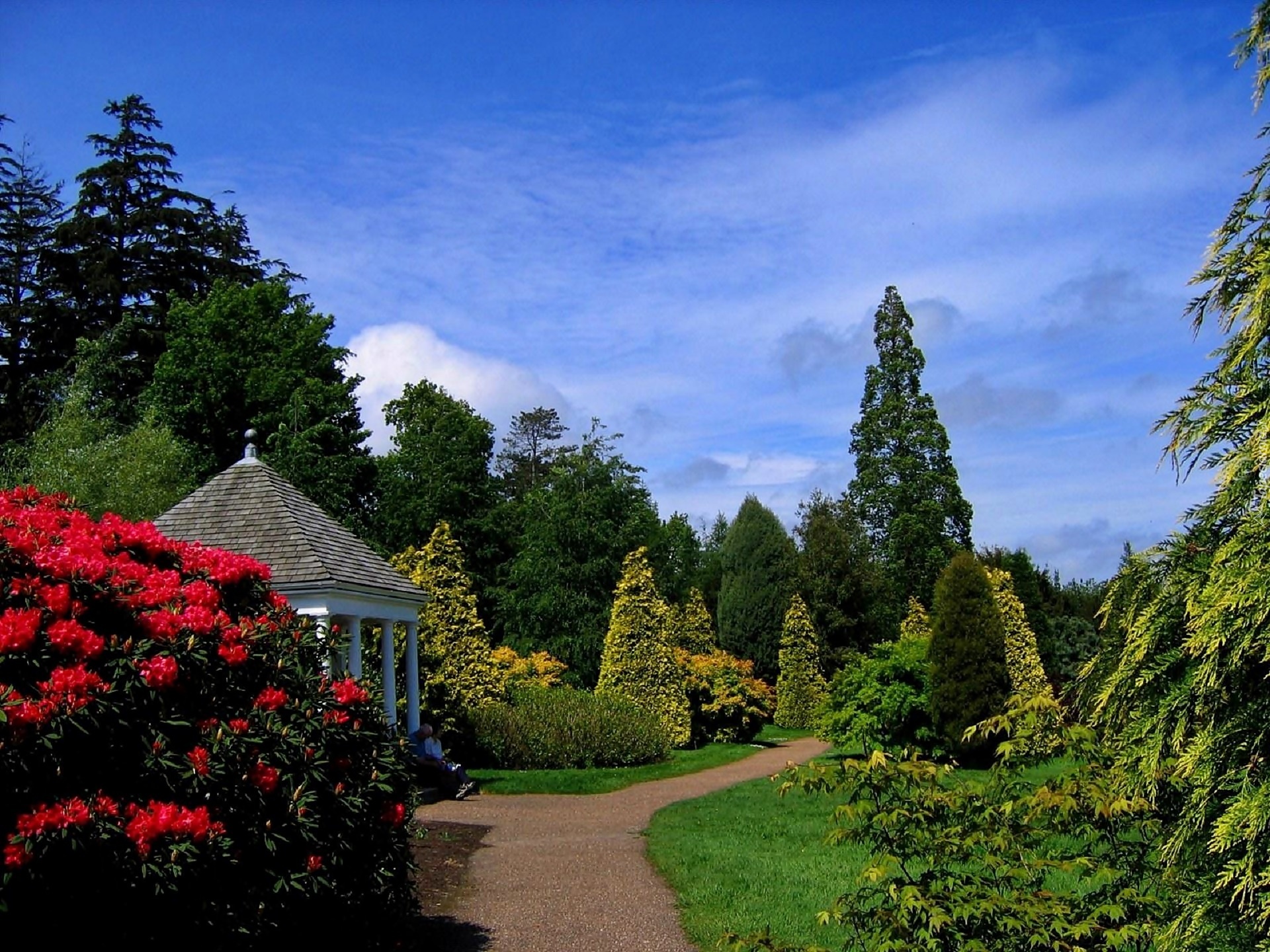 Park, Altanka, Kwitnące, Rododendrony