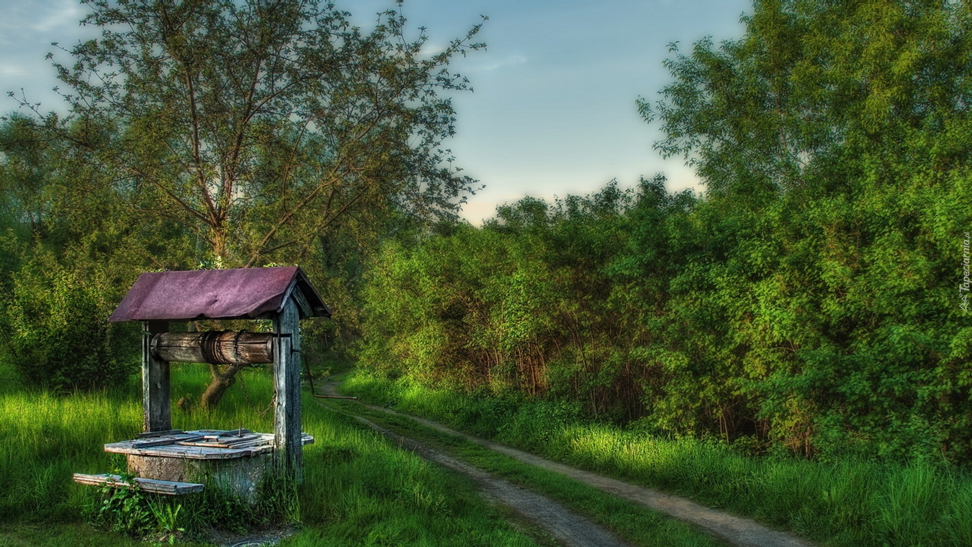 Studnia, Ścieżka, Drzewa