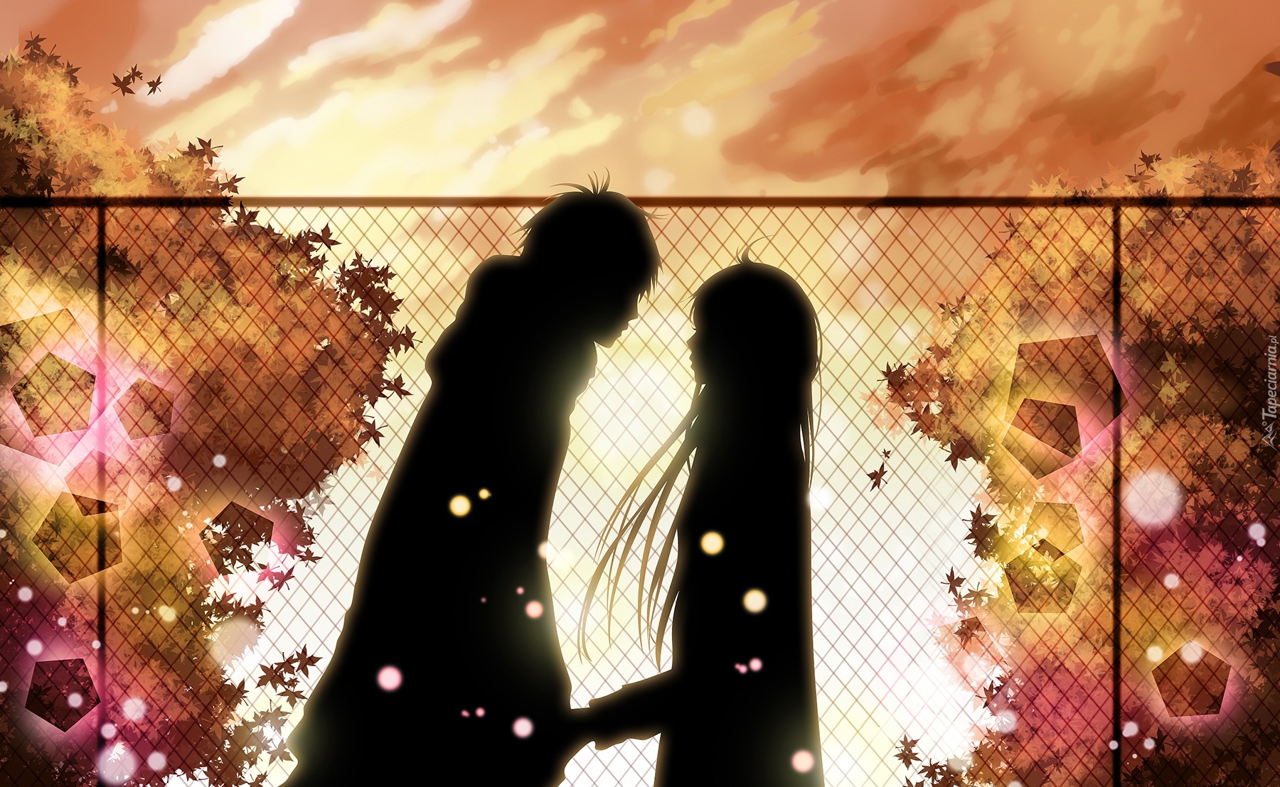 Manga Anime, Kimi ni Todoke, Sadako