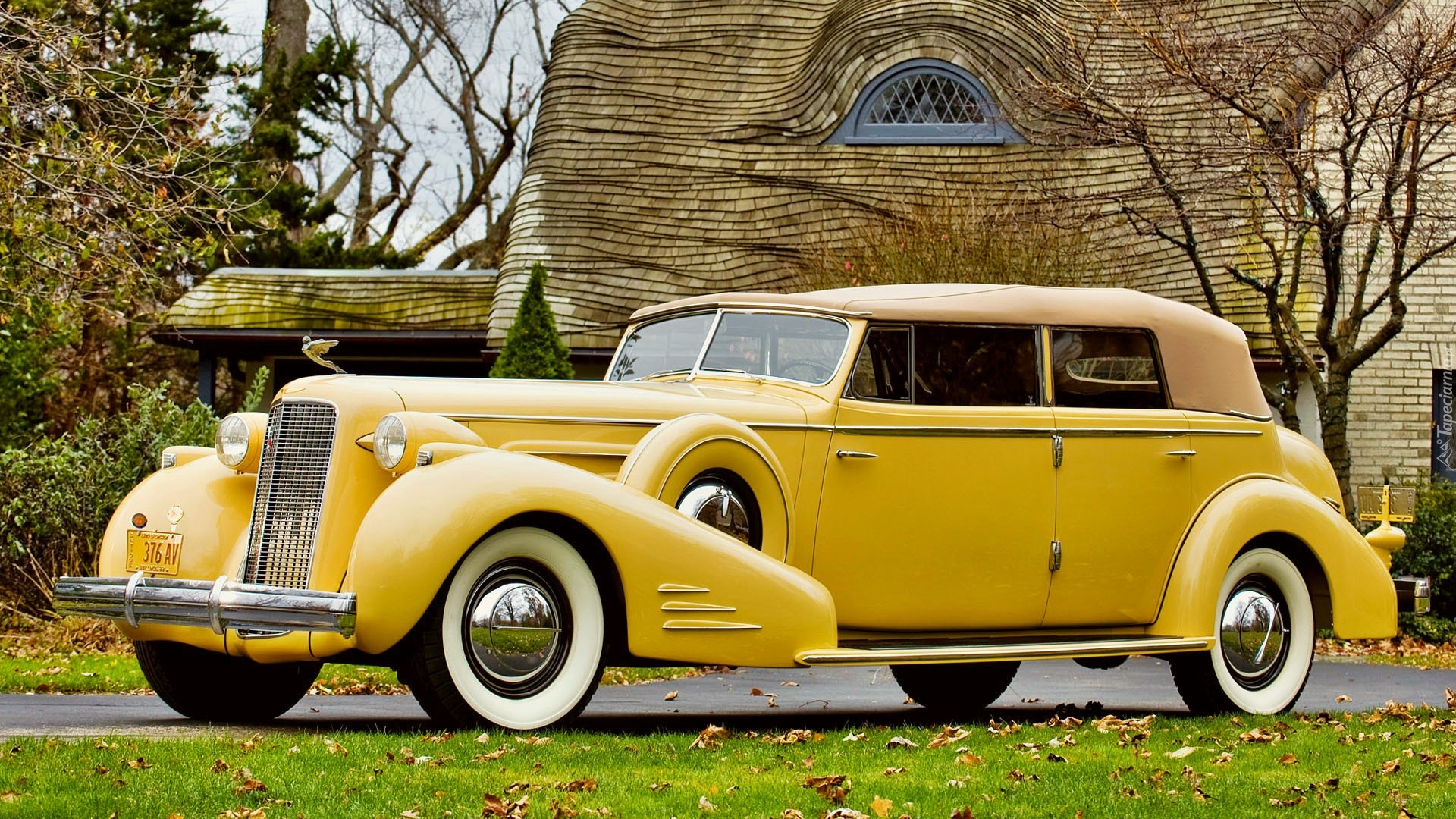 Żółty, Cadillac V16, 1930