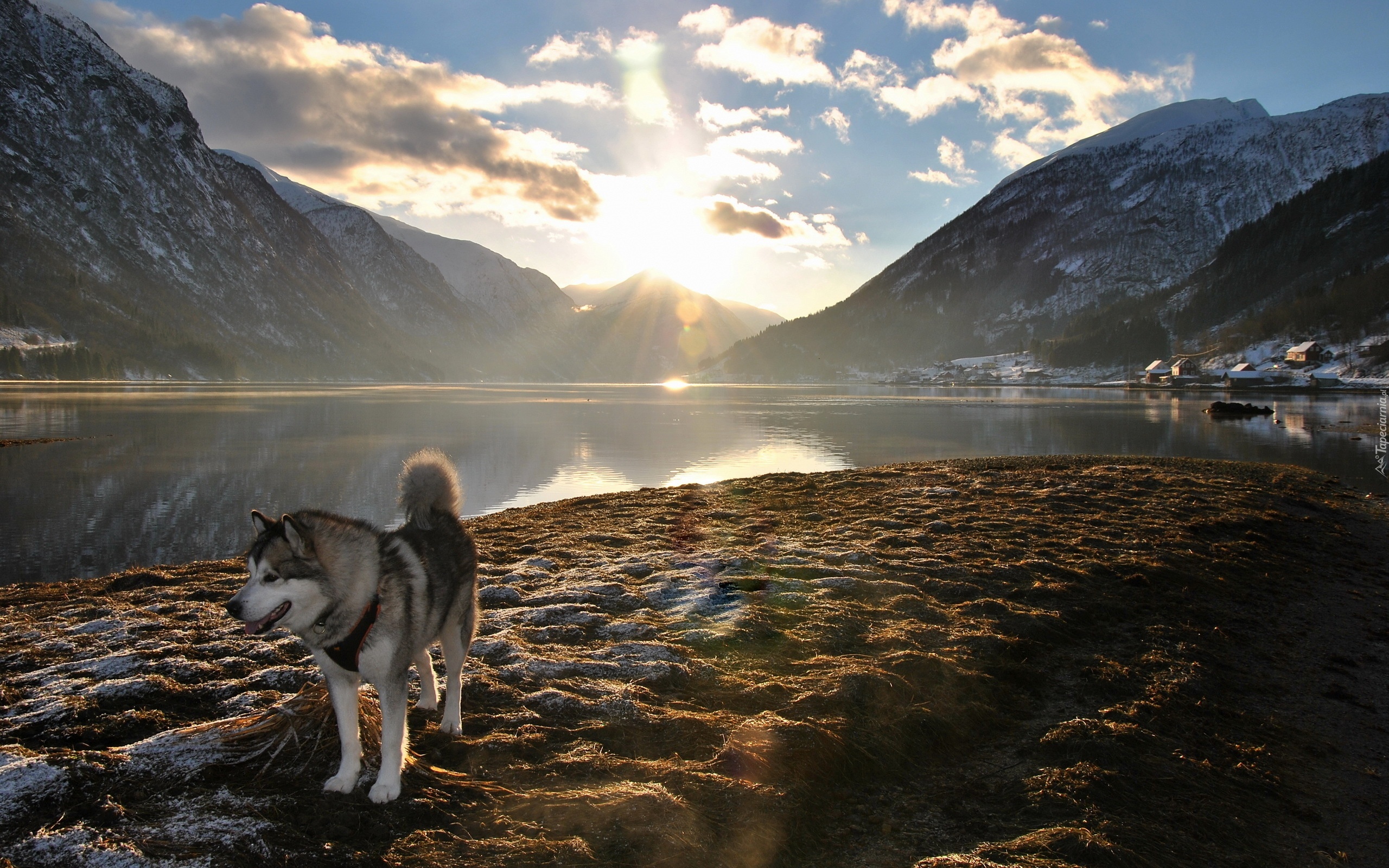 Husky, Jezioro, Góry, Promienie, Słońca, Chmury