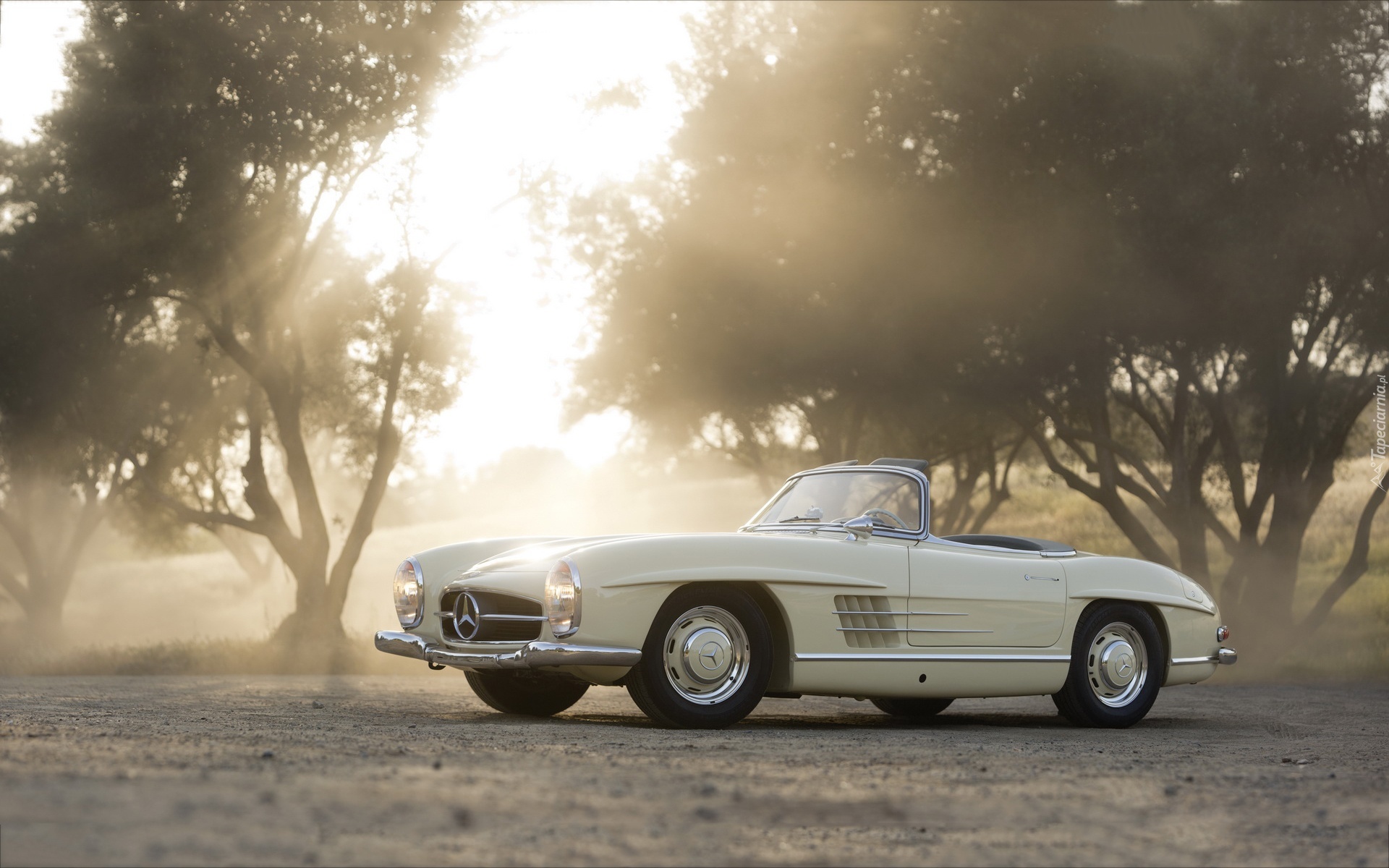 Mercedes, 300SL