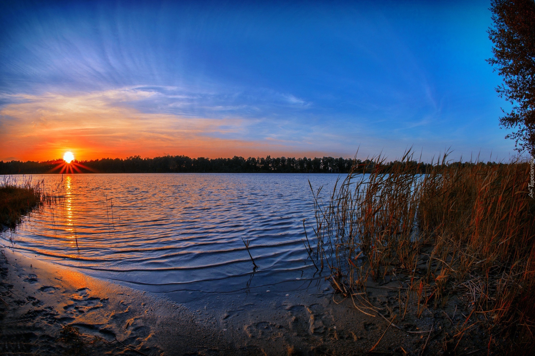 Jezioro, Szuwary, Wschód, Słońca