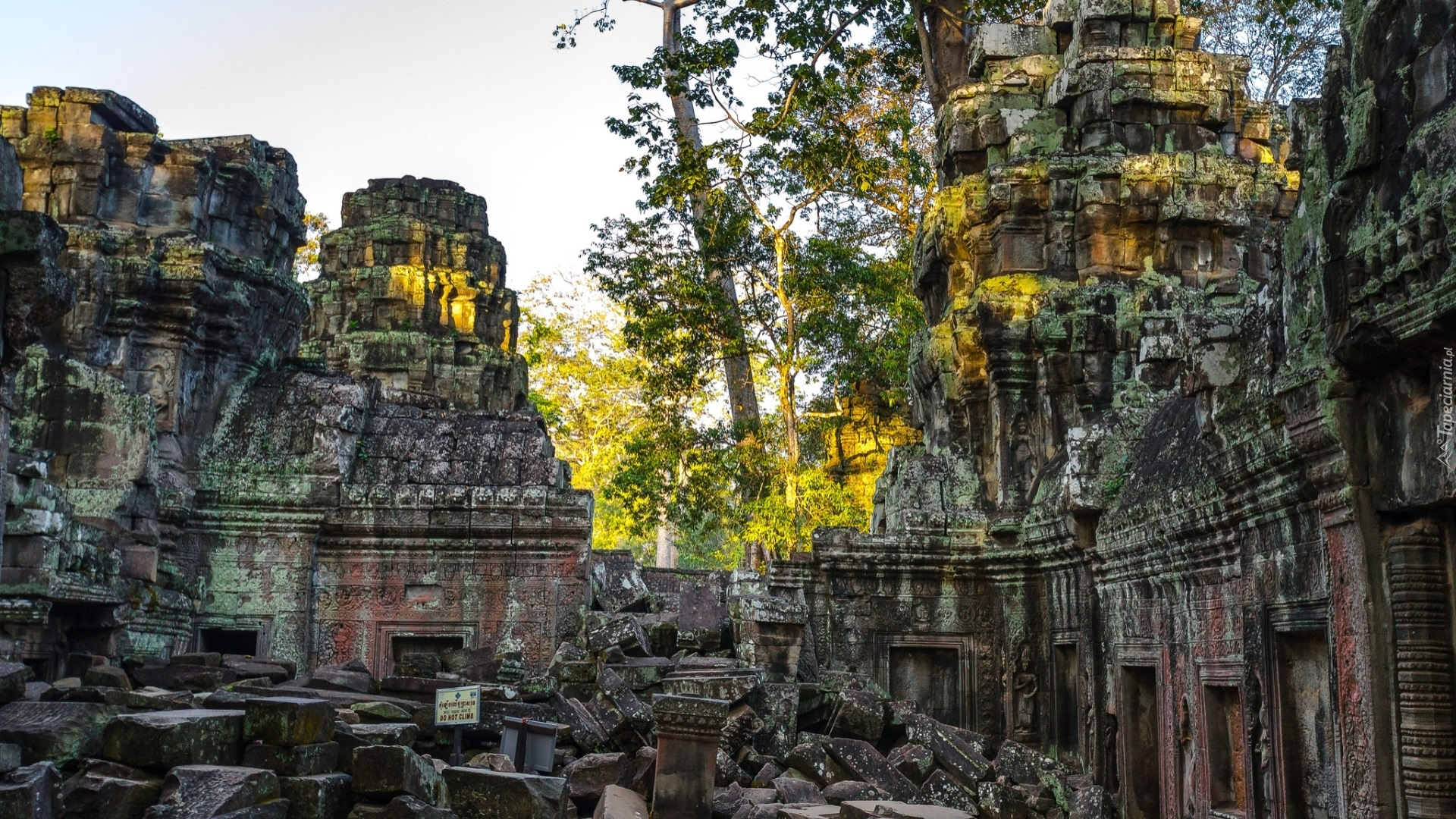 Kambod a Angkor Wat wi tynia Ruiny Drzewa Kambod a Angkor Wat wi tynia Ruiny Drzewa