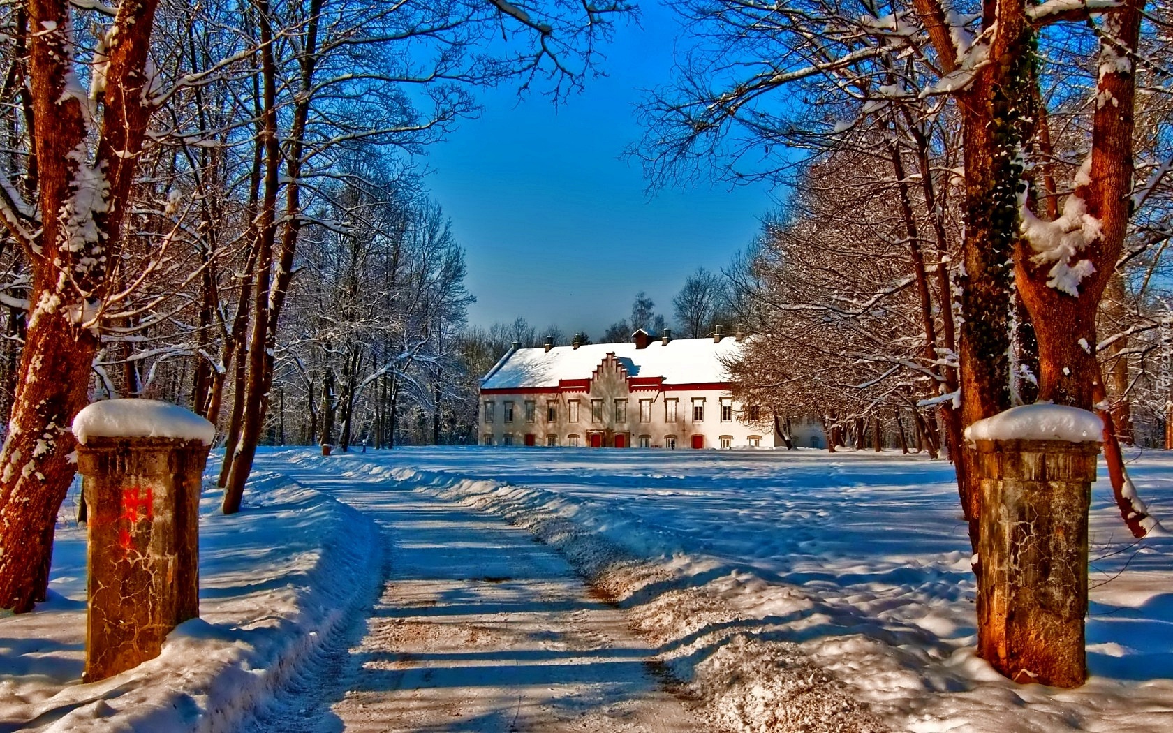 Zima, Śnieg, Dom, Drzewa, Droga