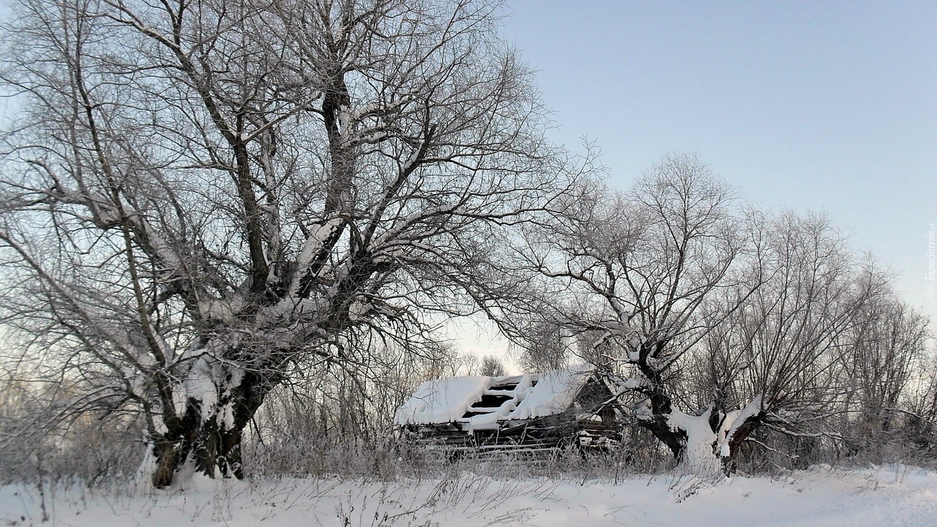 Ośnieżone, Drzewa, Ruina, Chaty