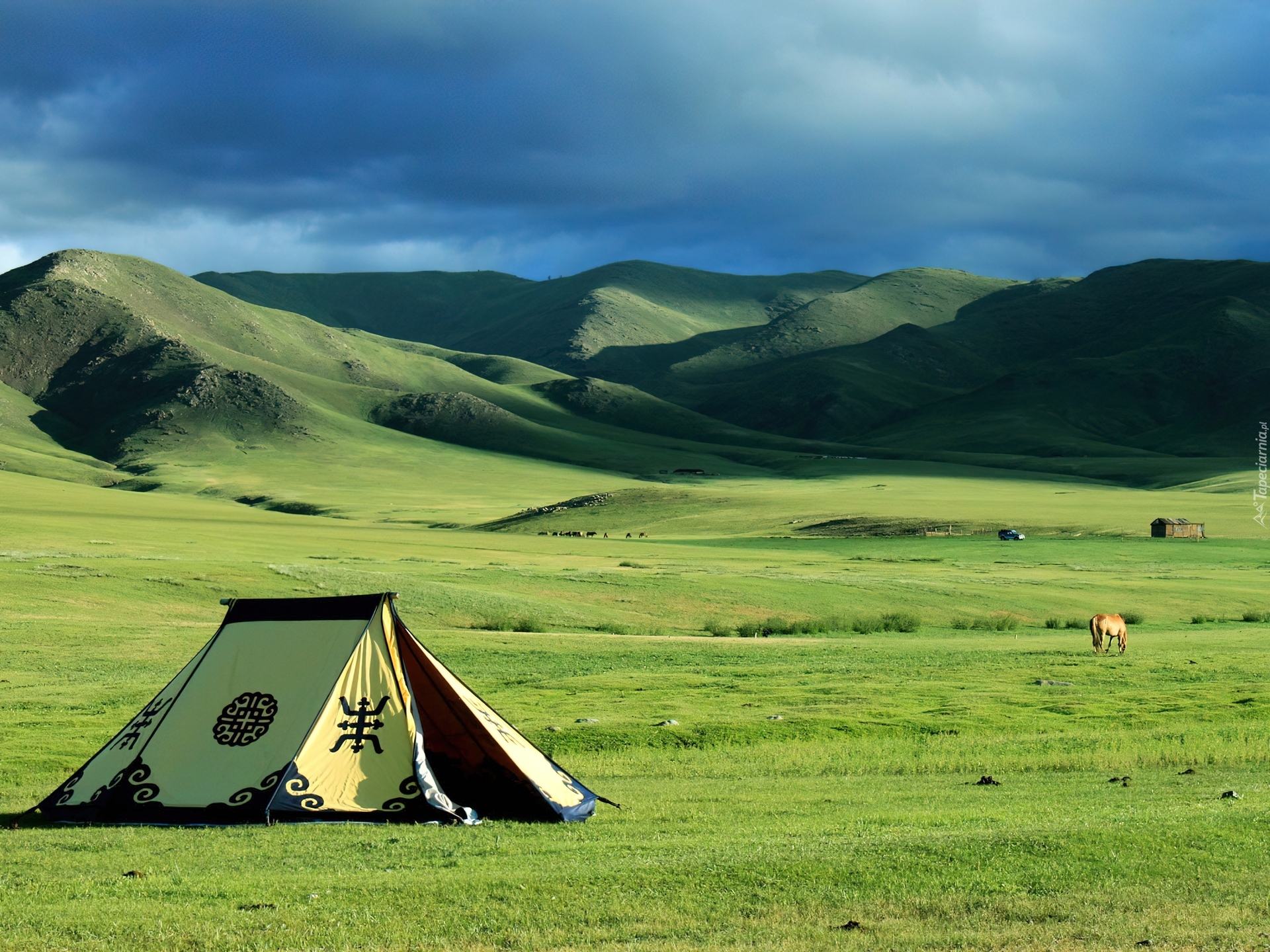 Stepy, Mongolia, Namiot