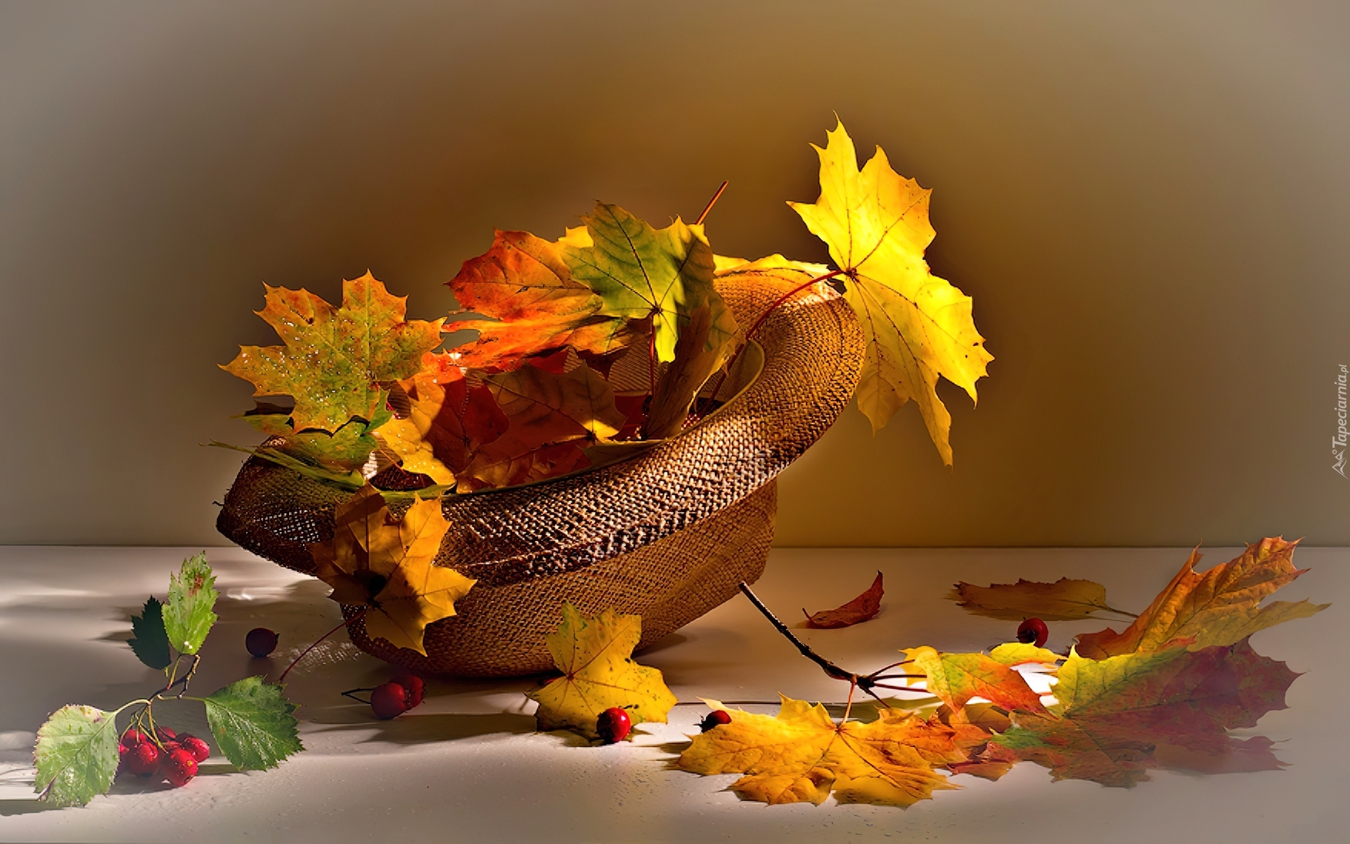 Осеннего дня и настроения картинки. Прекрасного осеннего дня. Открытки осень. Чудесной осени. Красивые осенние открытки.