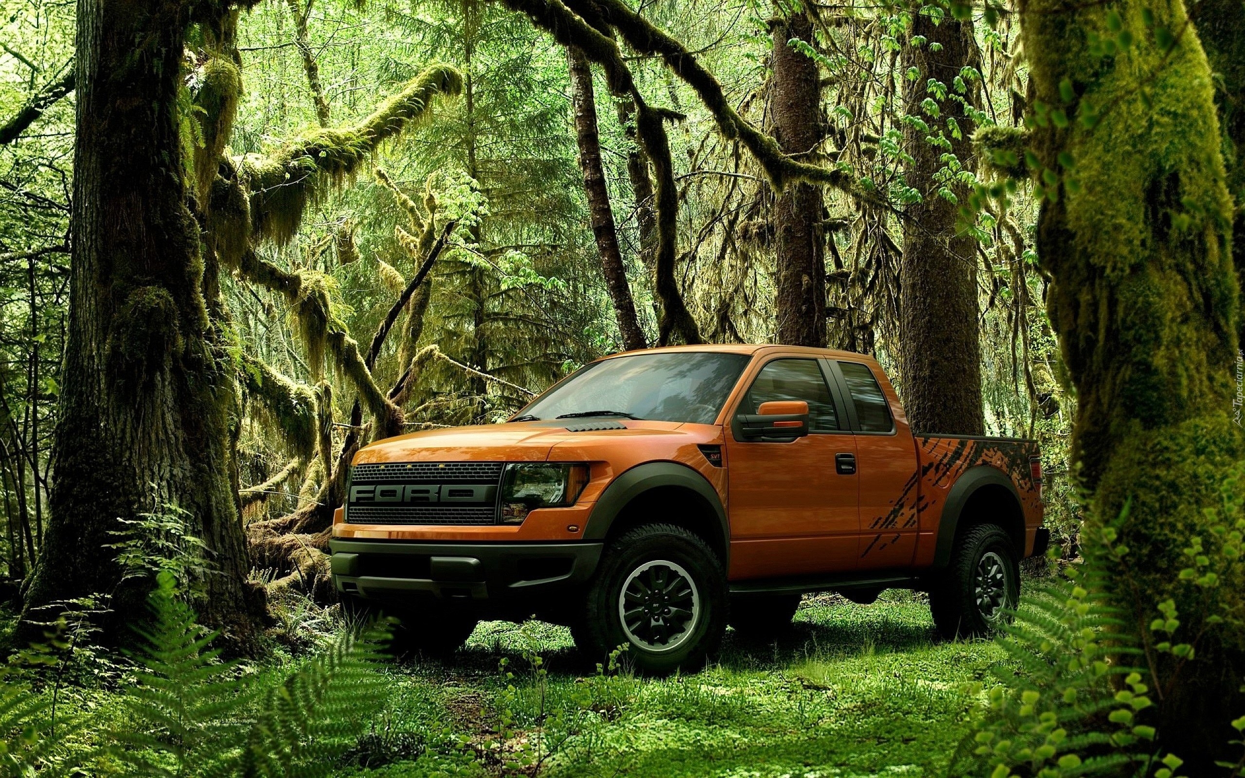 Ford, Raptor, Dżungla