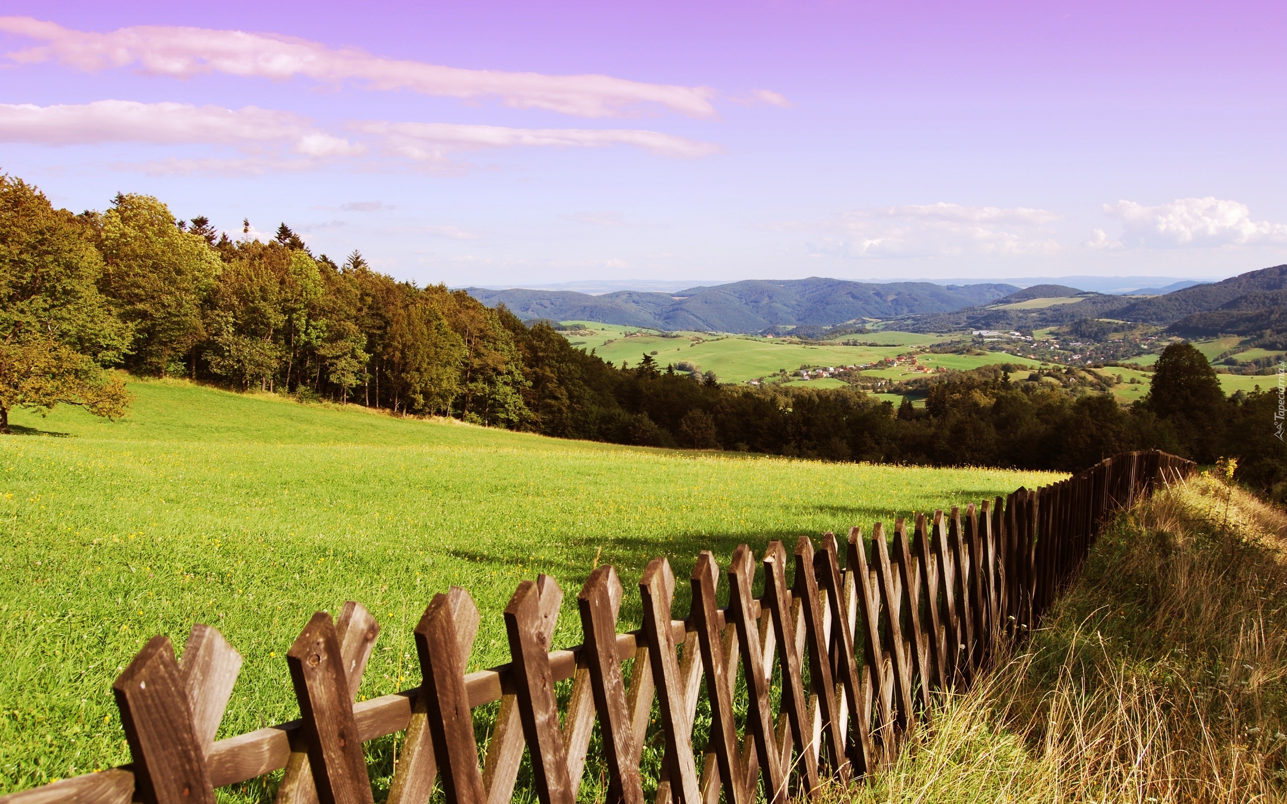 Góry, Las, Łąka, Płot