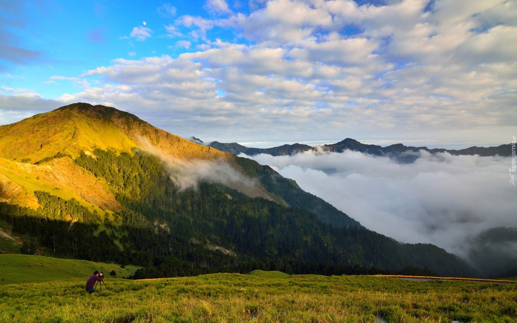 Mężczyzna, Fotograf, Polana, Góry, Lasy, Mgła