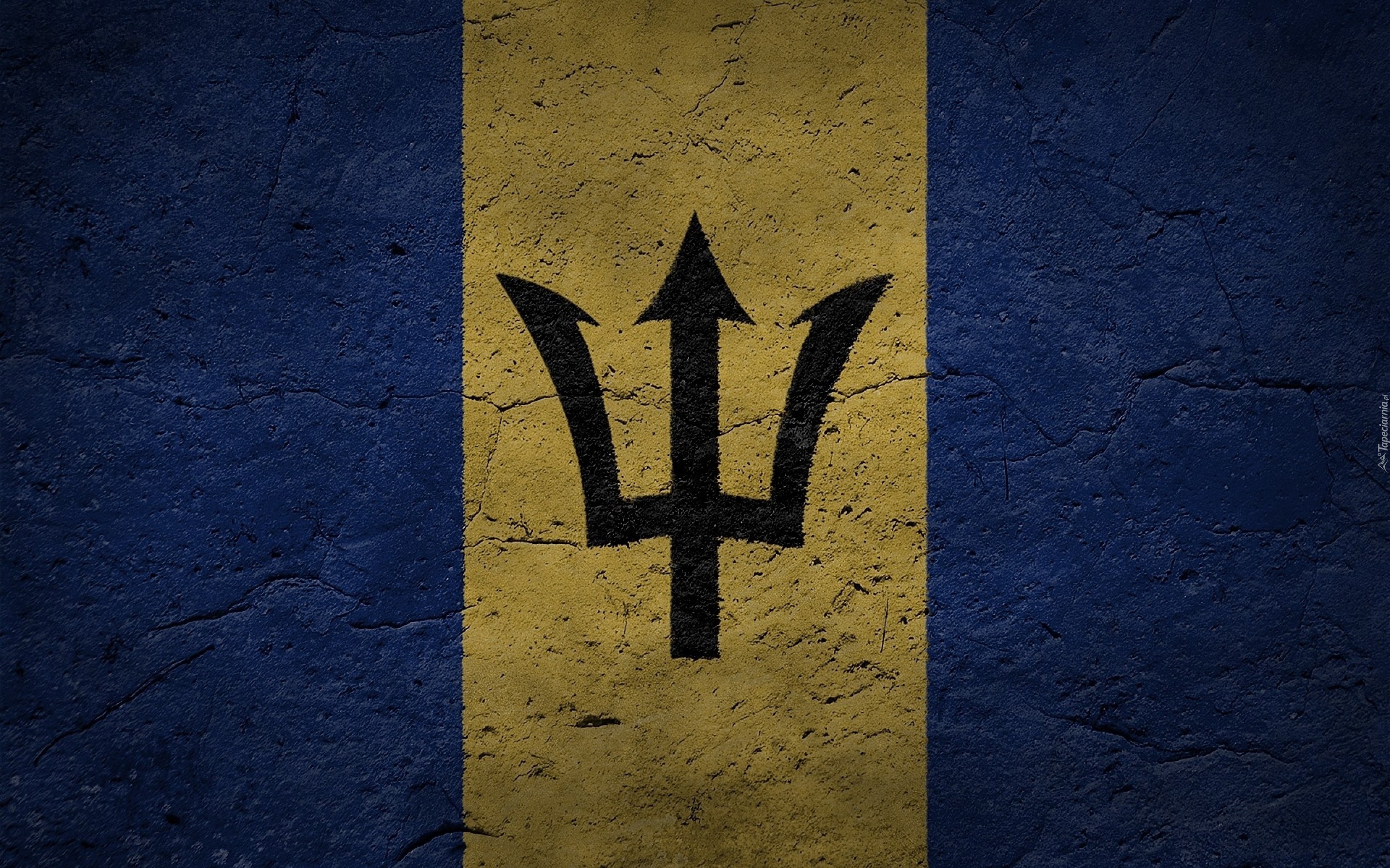 Flaga, Barbados
