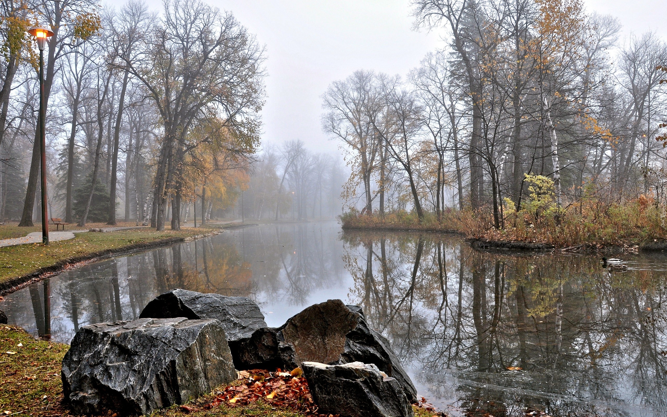 Rzeka, Kaczki, Kamienie, Park, Mgła, Jesień