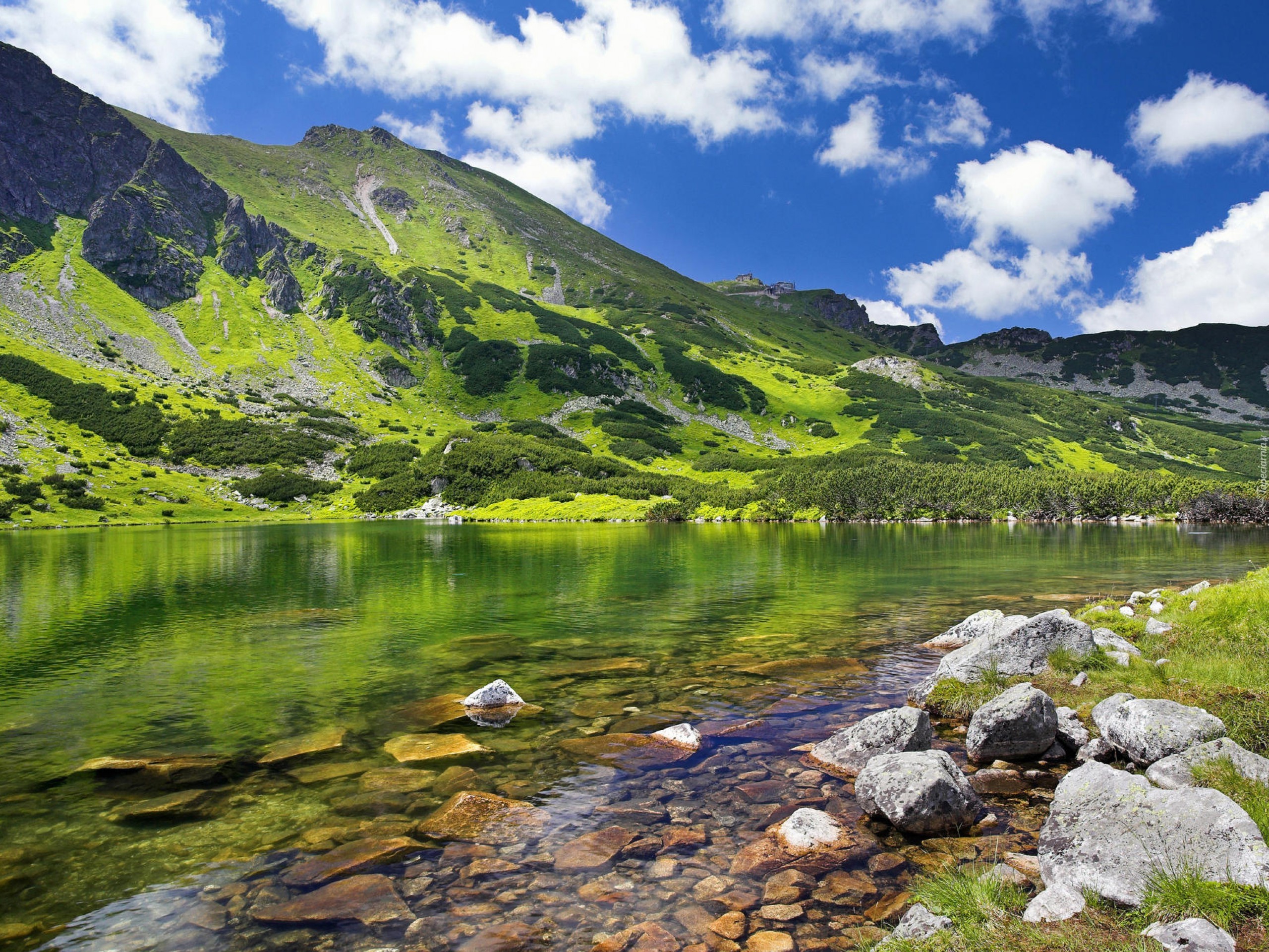 Tatry, Hala, Gąsienicowa, Jezioro, Kamienie