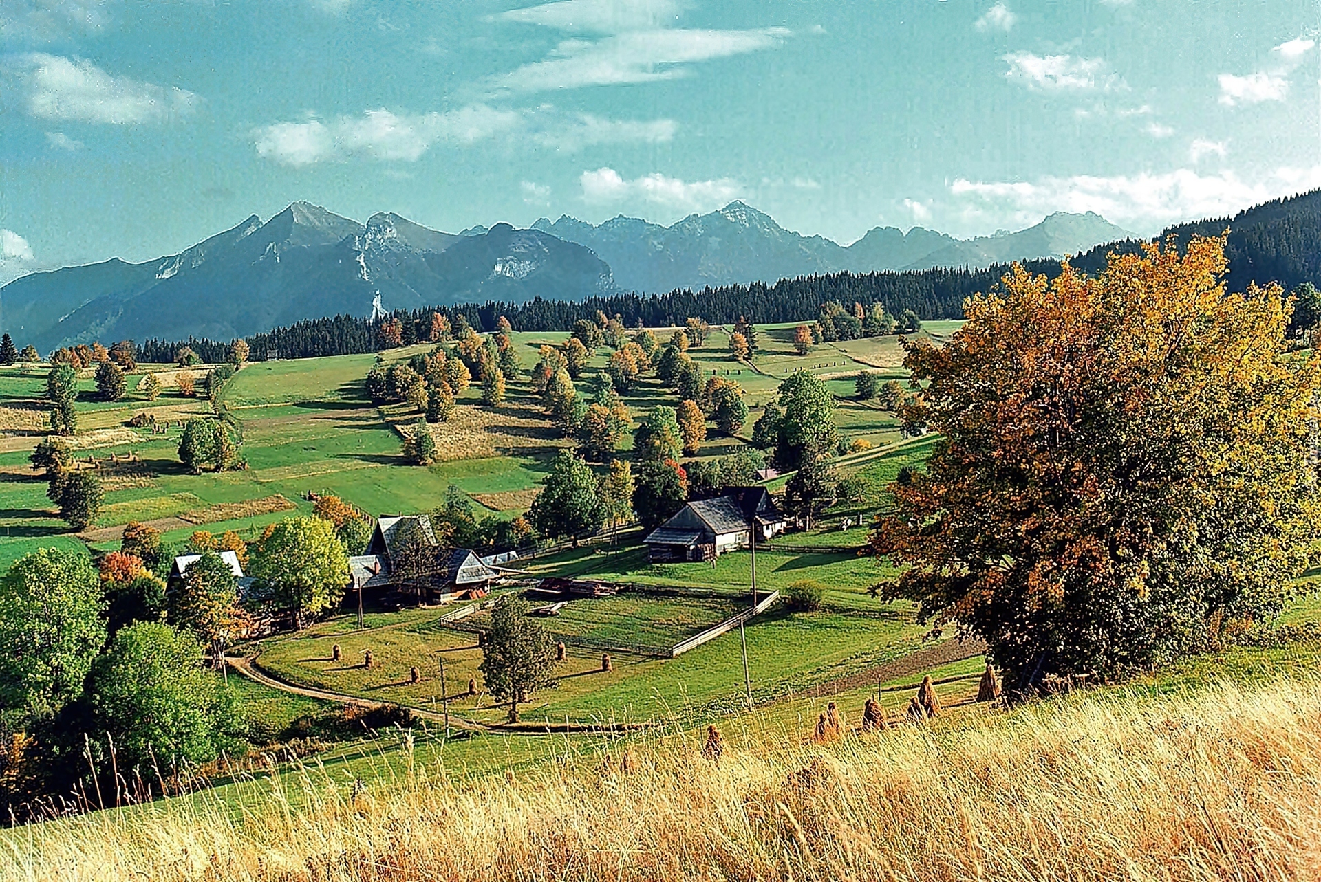 Tatry, Lasy, Pola, Wieś