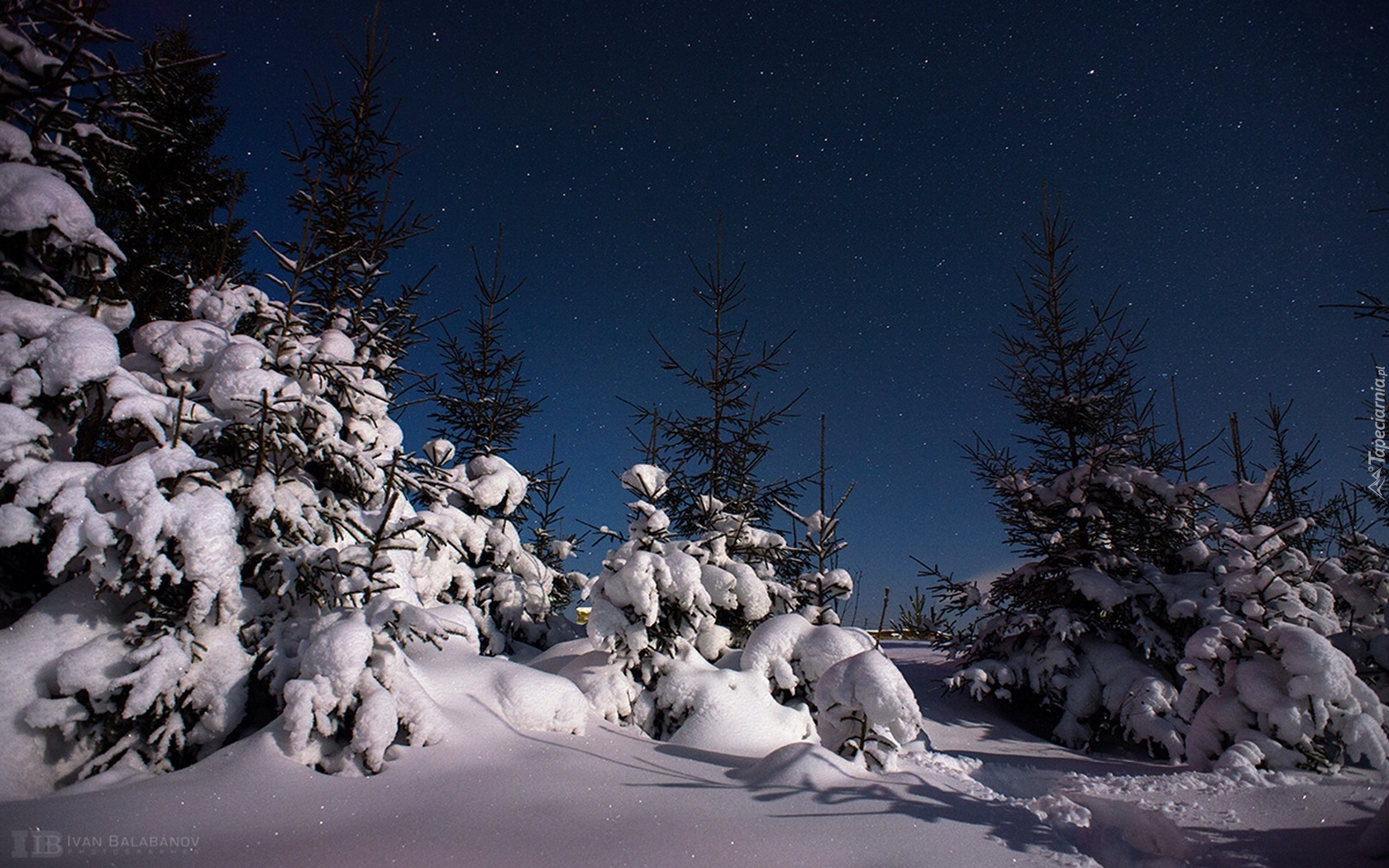 Zima, Ośnieżone, Drzewa, Noc, Gwiazdy