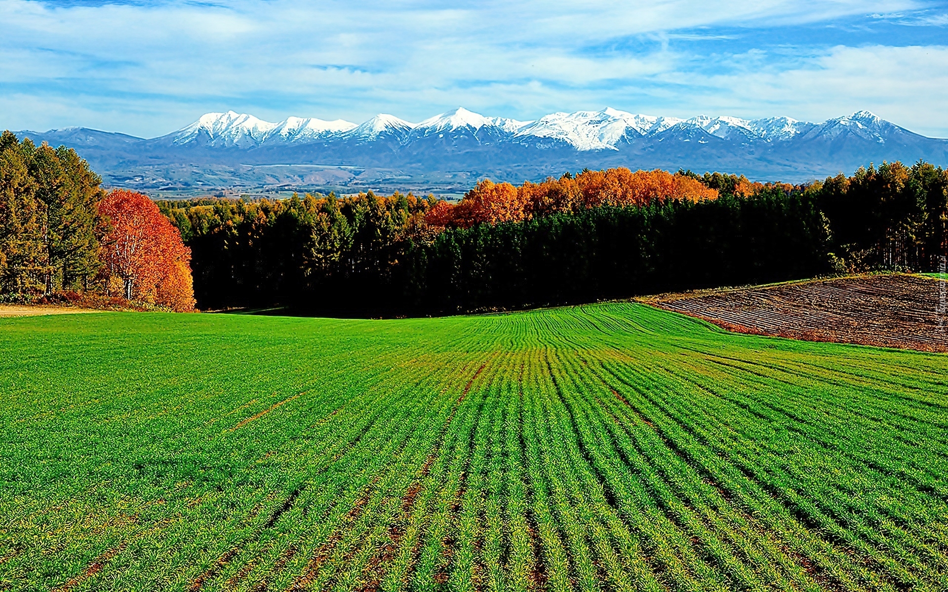 Góry, Lasy, Pola